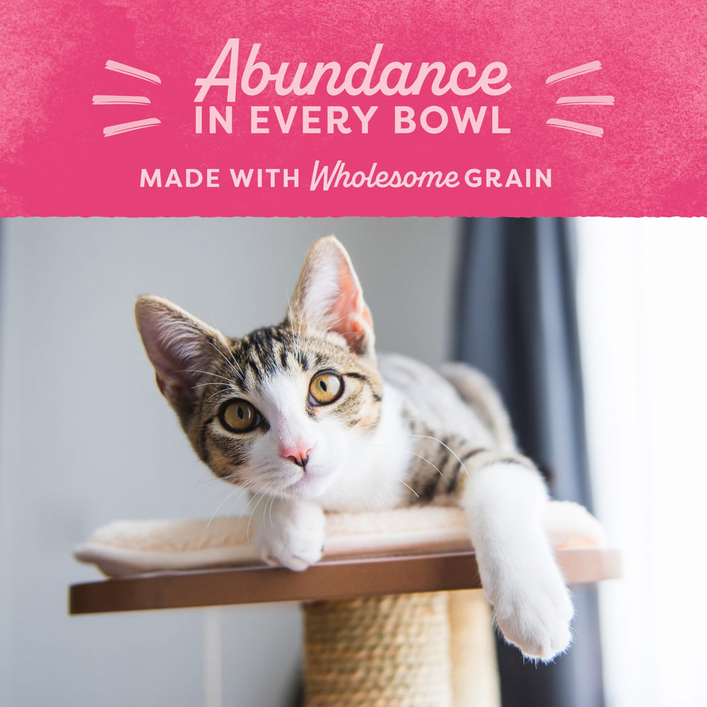 Natural Balance Fat Cats fiber-protein blend supports fullness with lower calories