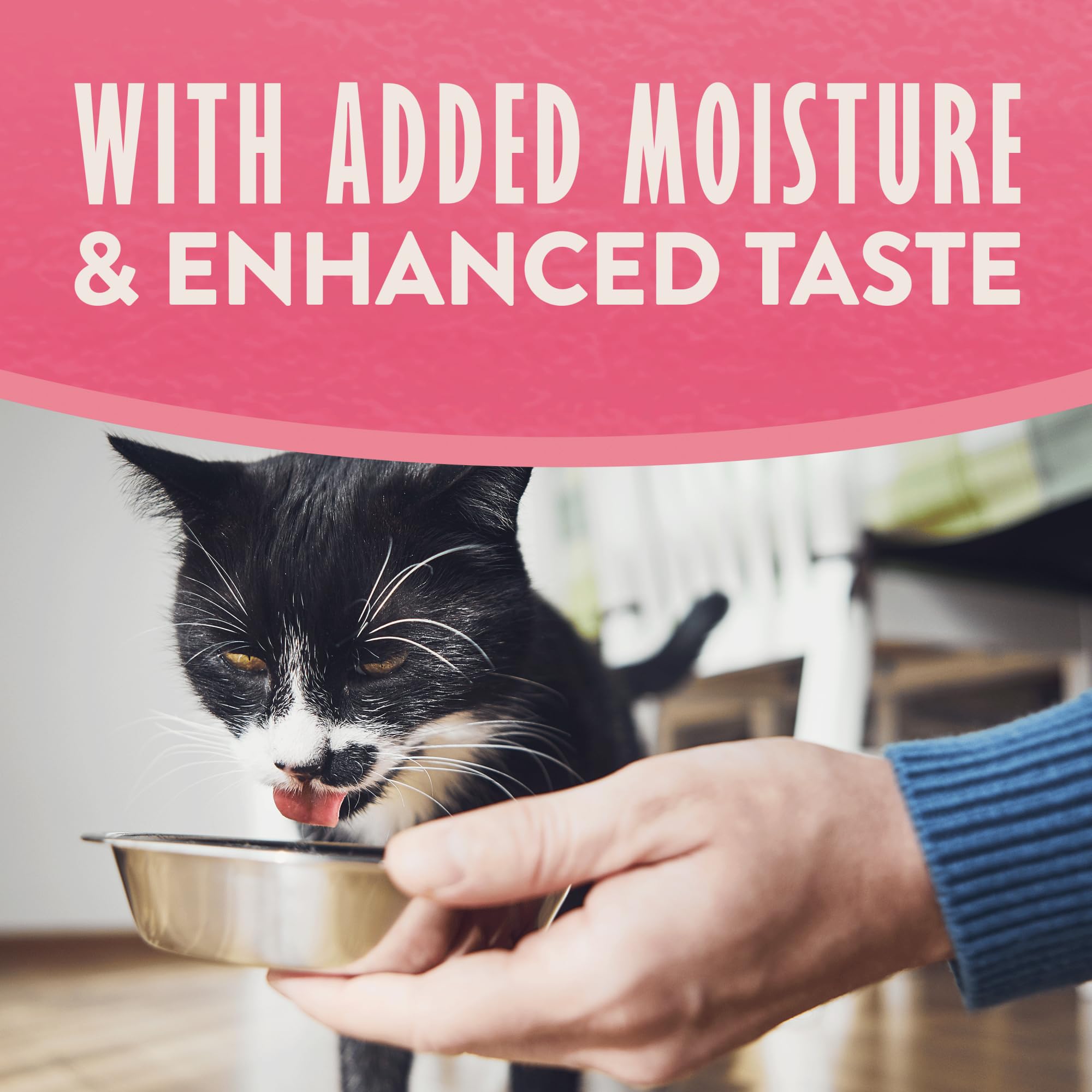 Natural Balance two-portions cups simplify feeding and cleanup sessions