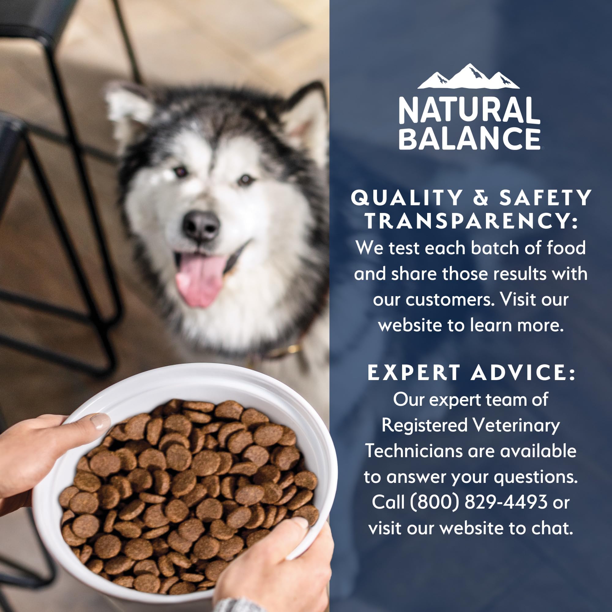 Natural Balance Health Protection 4-lb bag packaging for convenient feeding.
