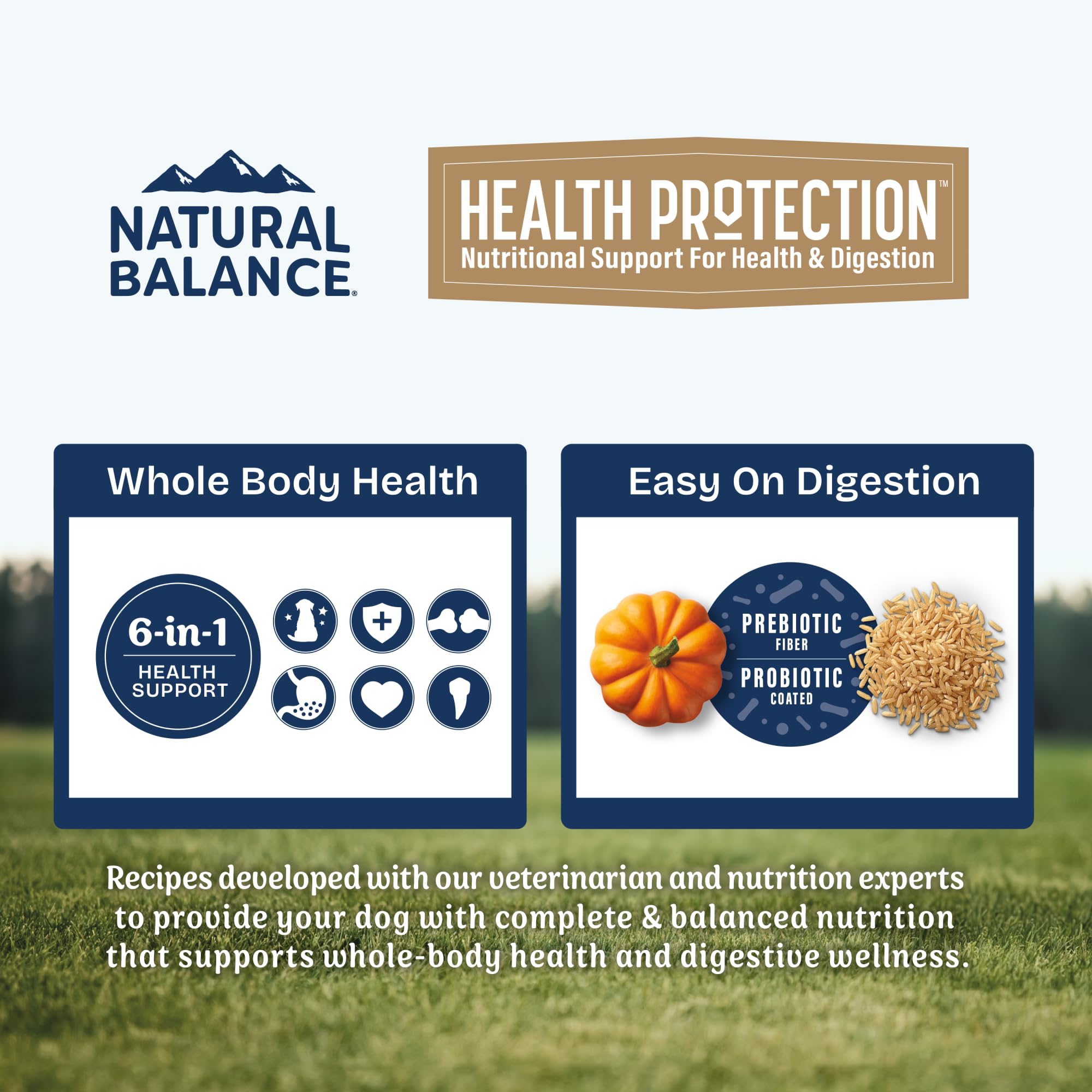 Brown rice and pumpkin in Natural Balance Health Protection for gentle fiber.