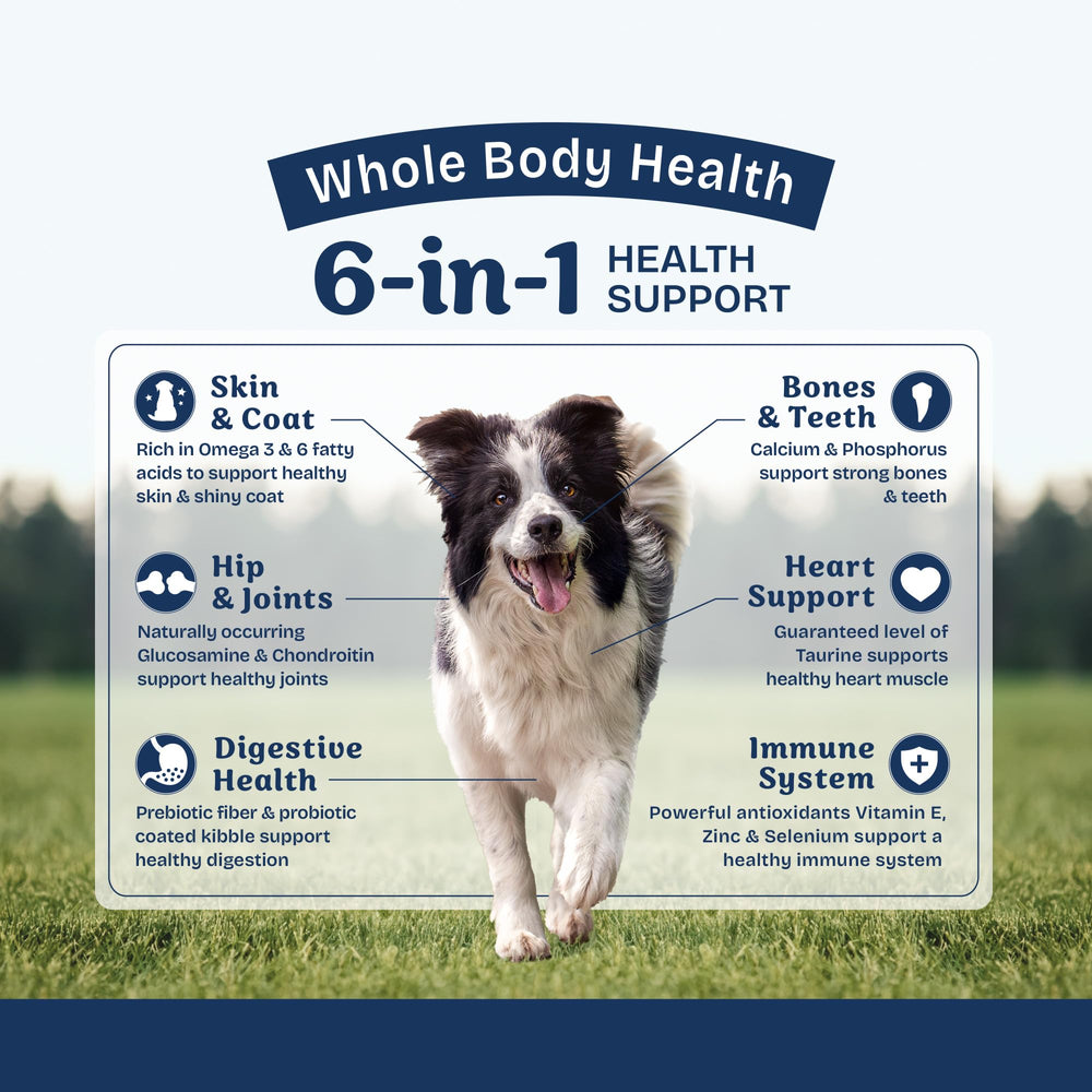 Digestive wellness is supported by Natural Balance Health Protection's prebiotic fiber and coating.