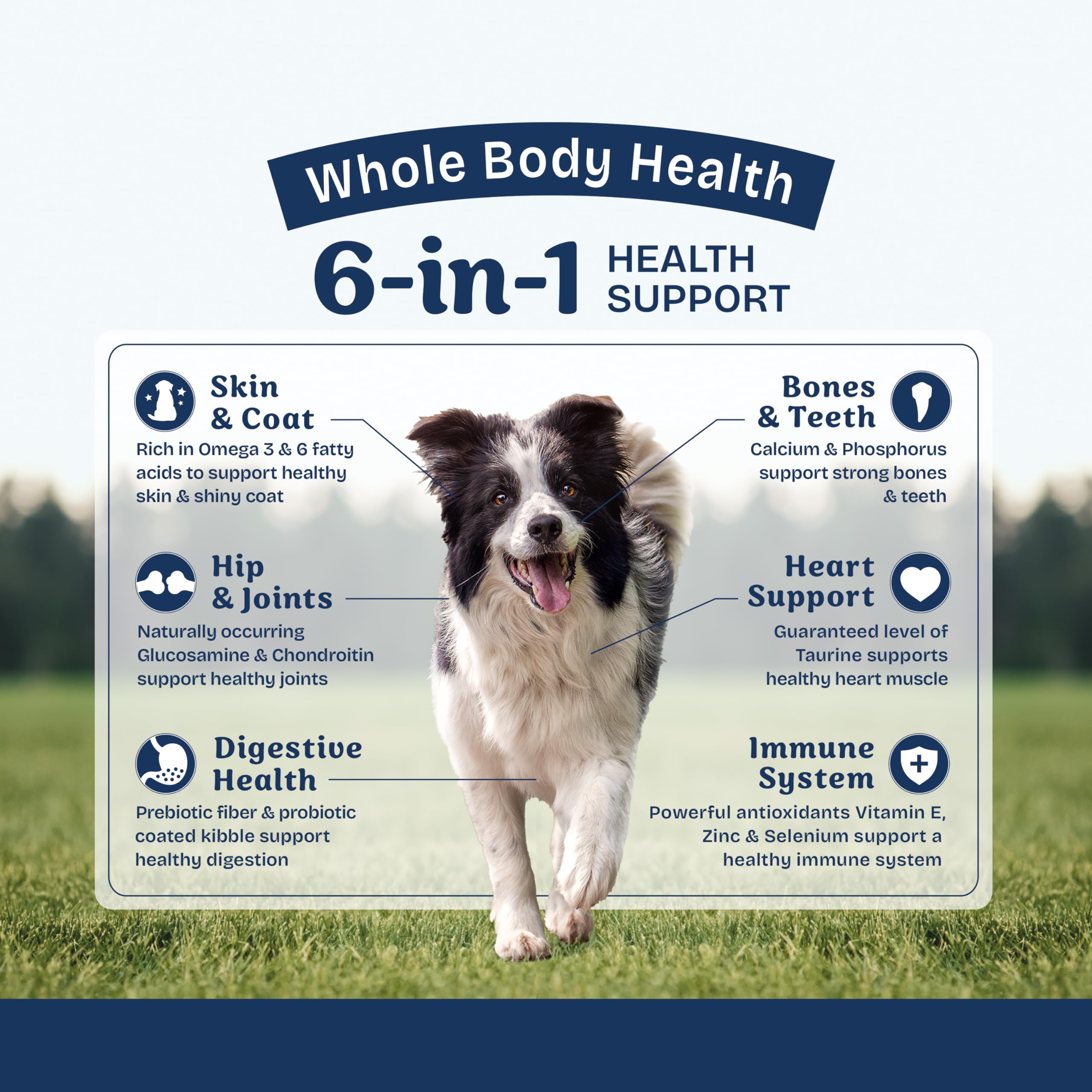 Natural Balance Health Protection digestive health focus supports balanced digestion.