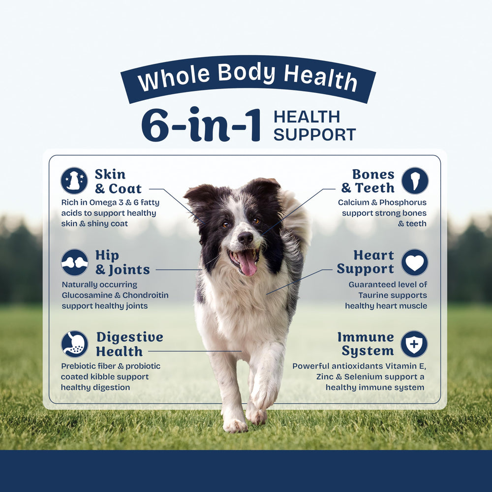 Natural Balance Health Protection digestive health focus supports balanced digestion.