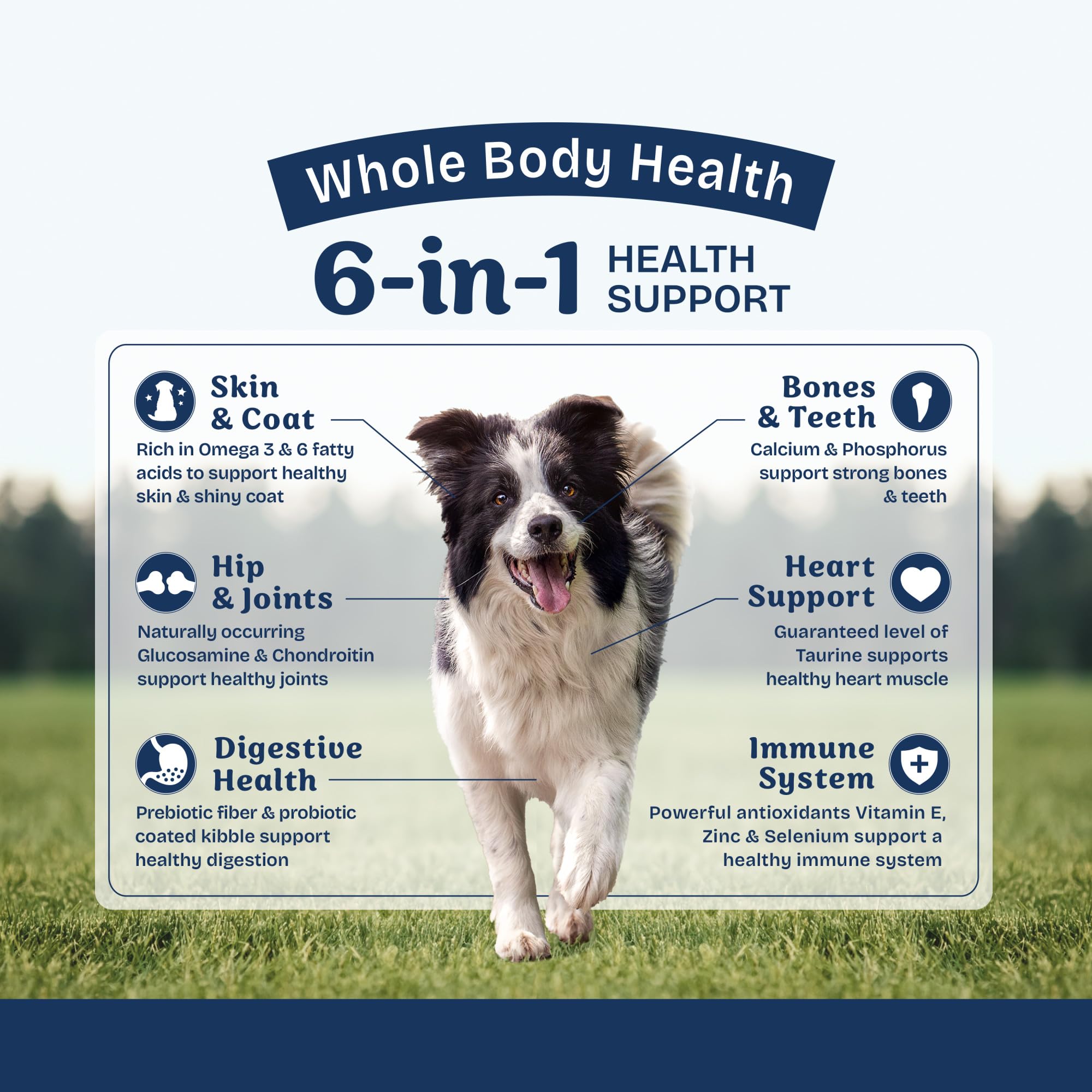 Natural Balance Health Protection: no corn, soy, or wheat in this natural recipe