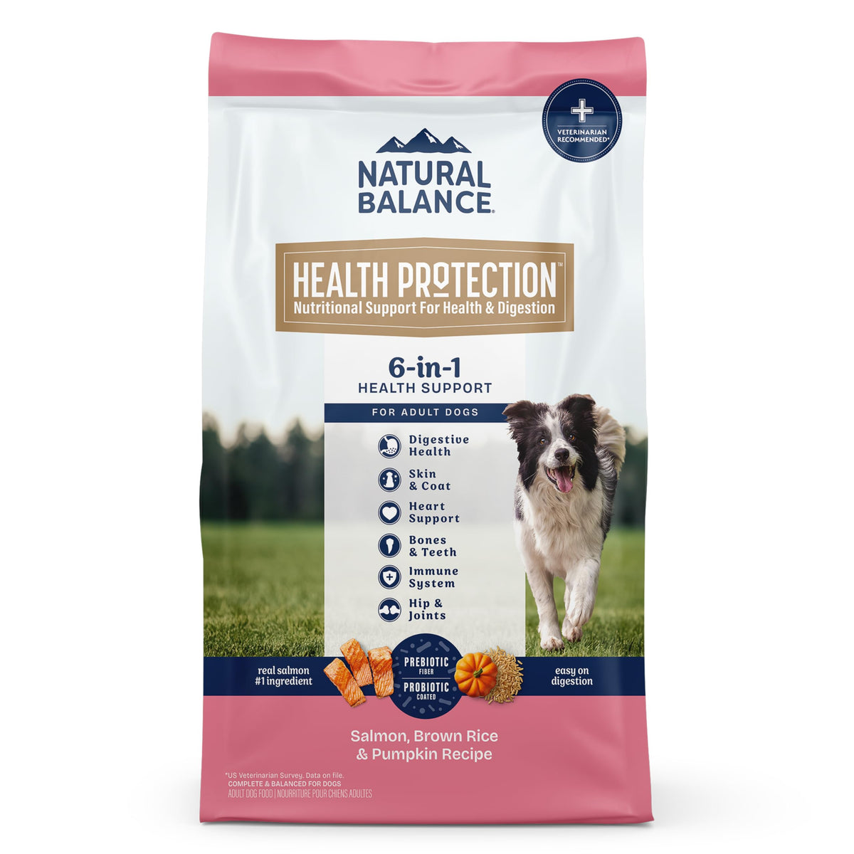 Natural Balance Health Protection salmon kibble close-up for digestive support