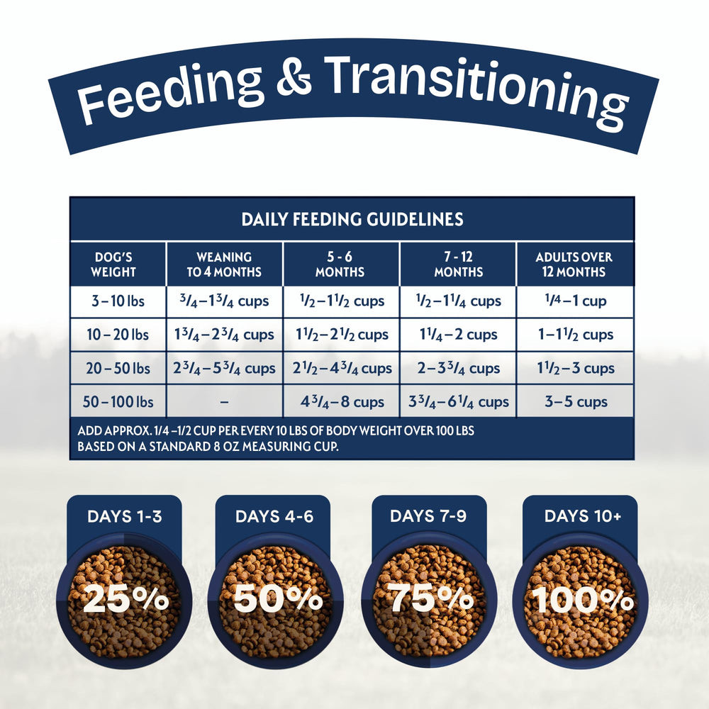 Natural Balance Health Protection puppy nutrition illustration for gut health