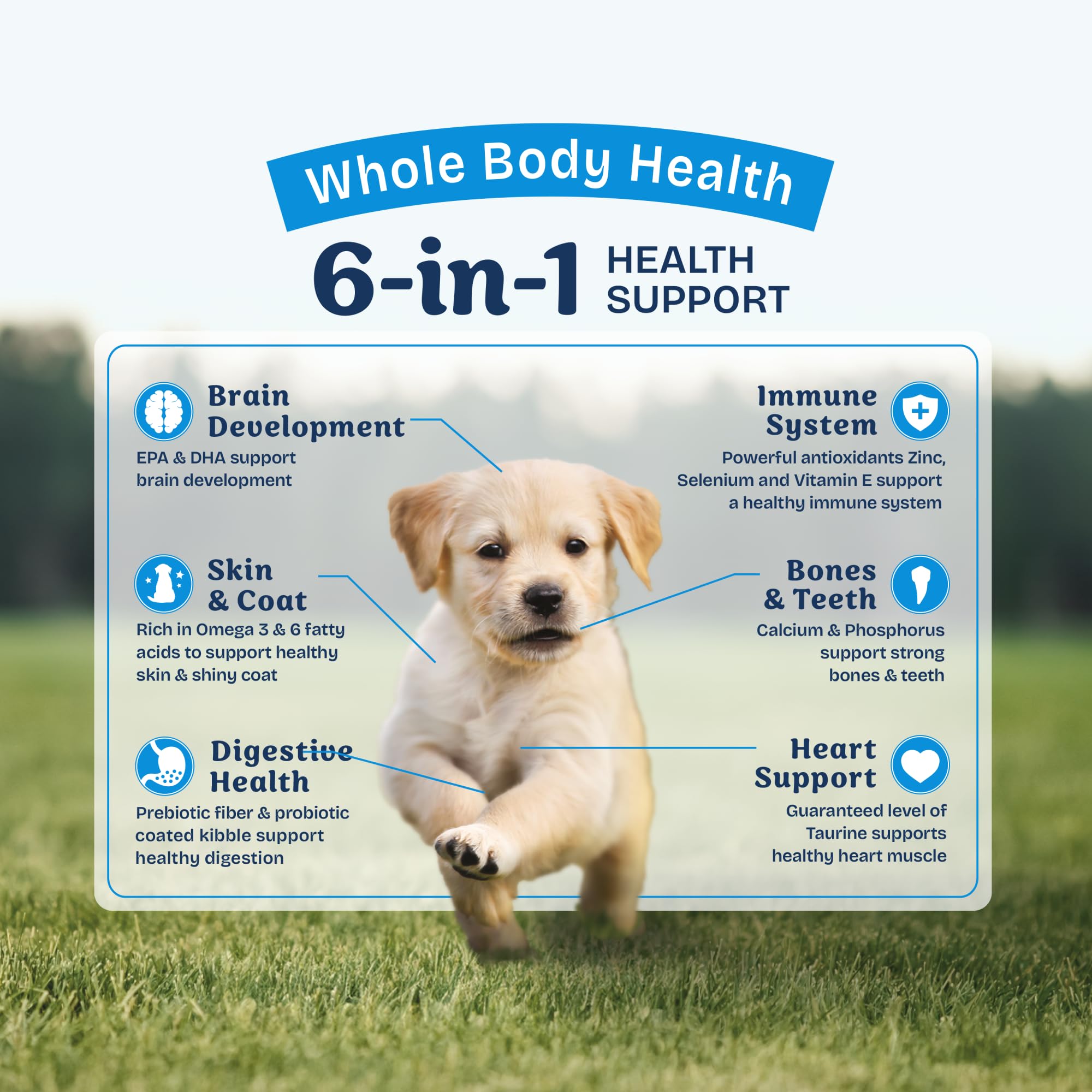 Natural Balance Health Protection Puppy Dry Food supports strong bones and teeth with calcium and phosphorus