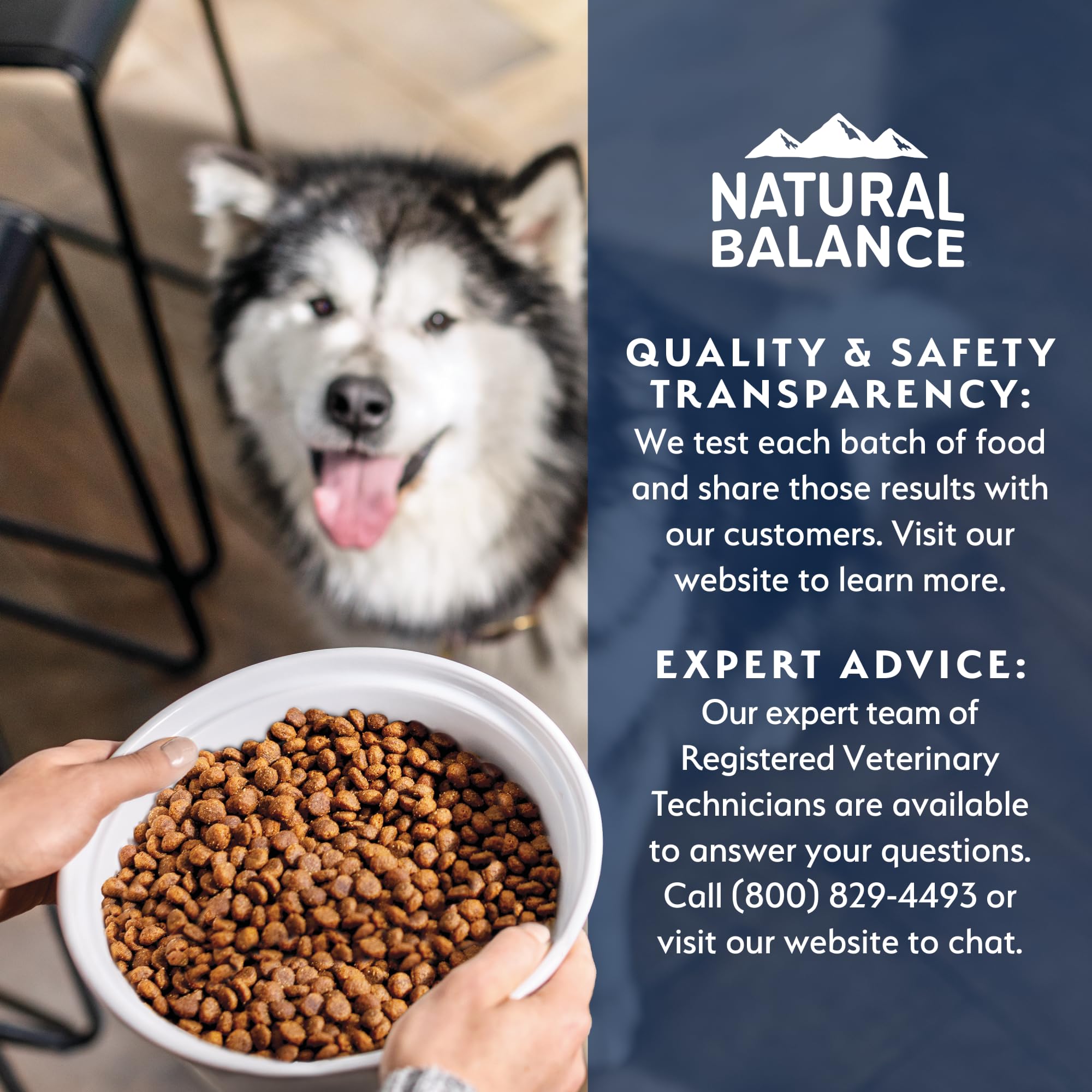 Natural Balance Health Protection puppy immune-support nutrients for resilience