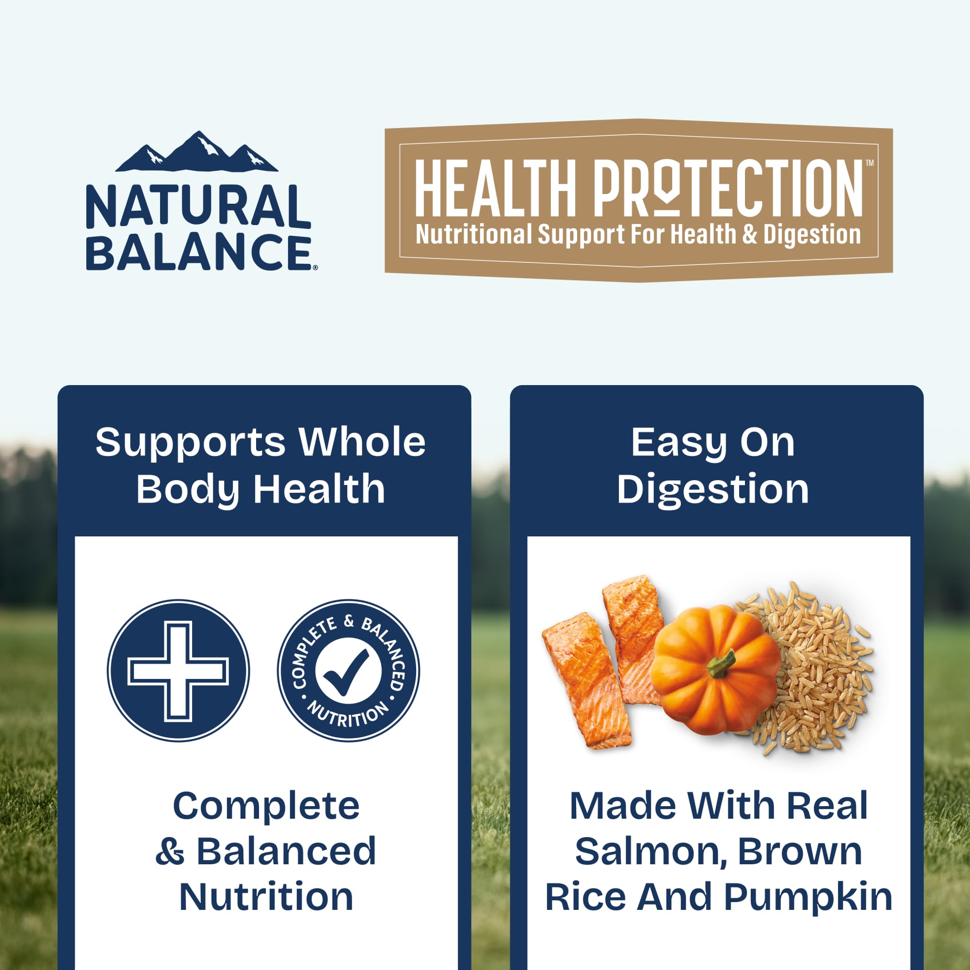 Natural Balance Health Protection free of corn, soy, and wheat for sensitive dogs.