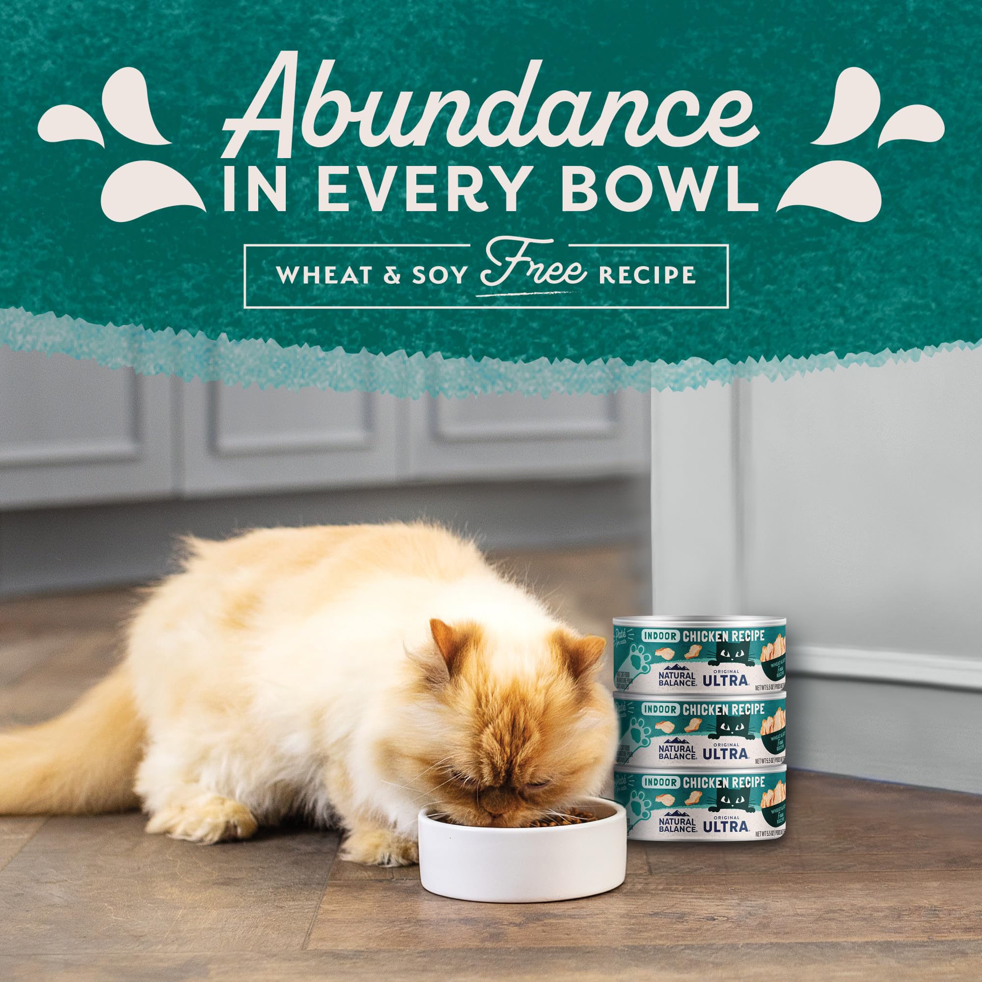 Natural Balance indoor cat formula promotes digestibility and flavor.