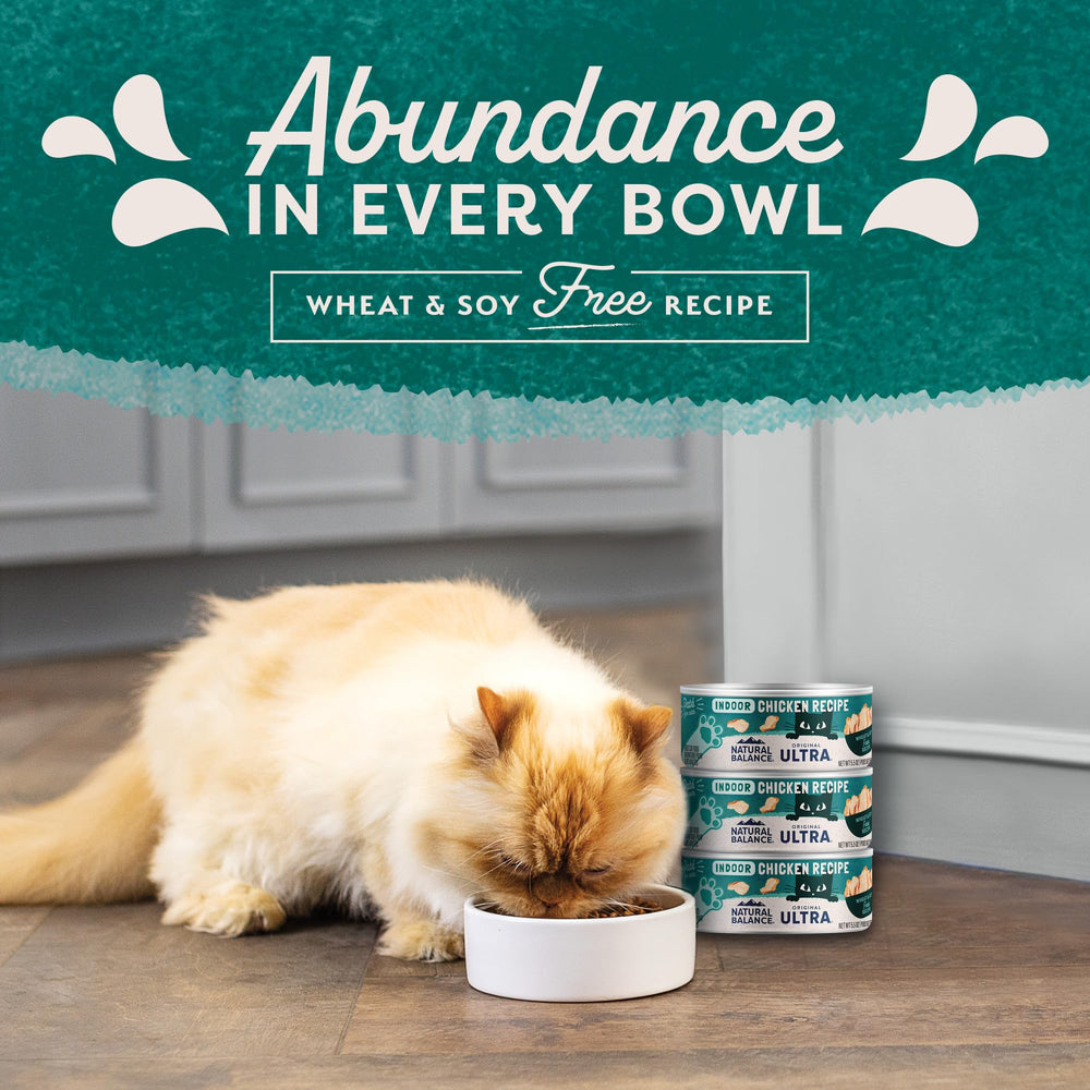 Natural Balance indoor cat formula promotes digestibility and flavor.