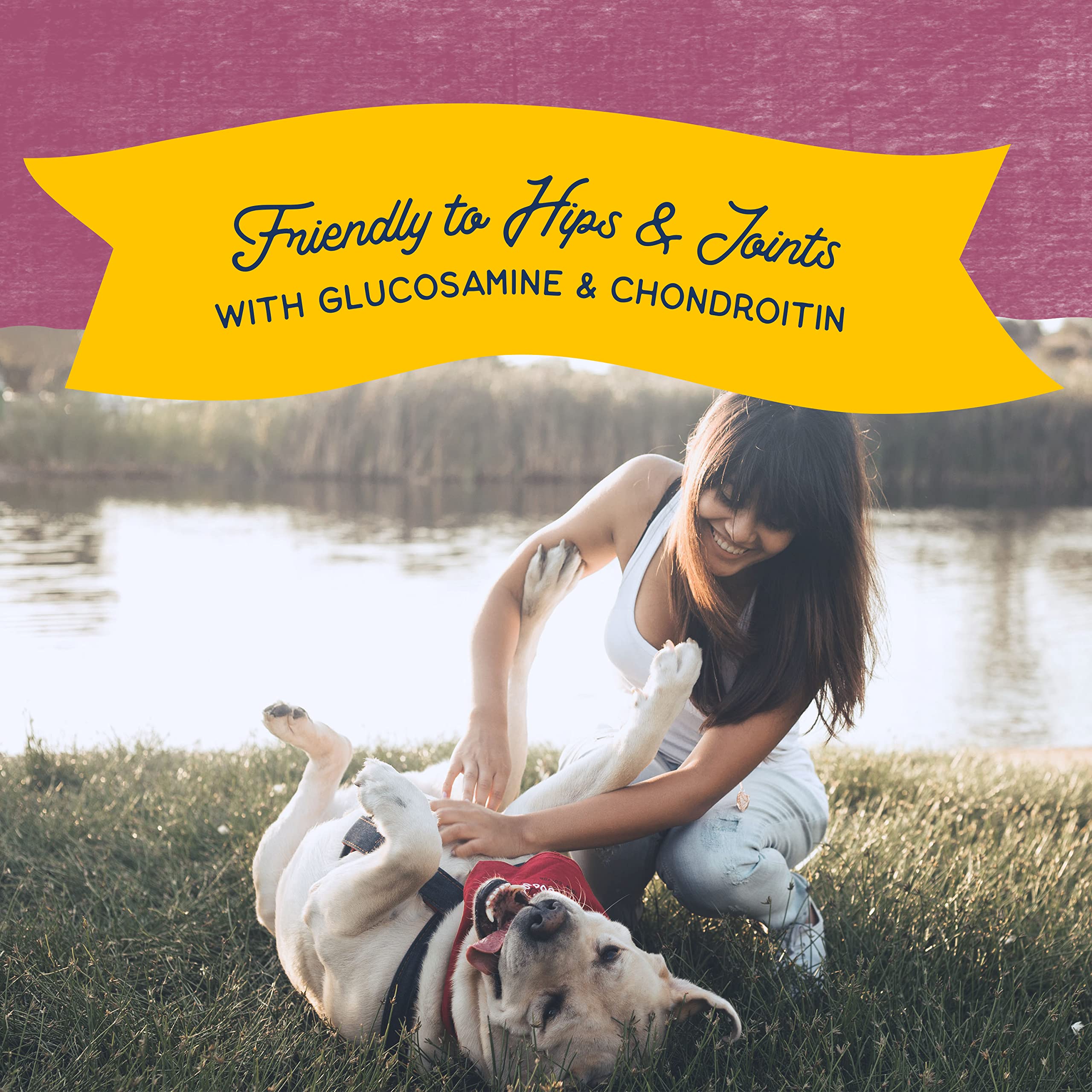 Natural Balance Jumpin' Stix safety and quality proof via Feed with Confidence program.