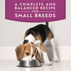 Natural Balance lamb chunks highlighting premium protein in the recipe