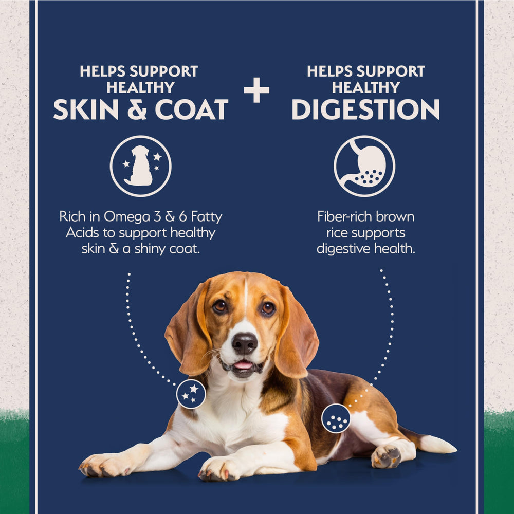 Natural Balance lamb-first-ingredient formulation shown in closeup supports lean muscles.