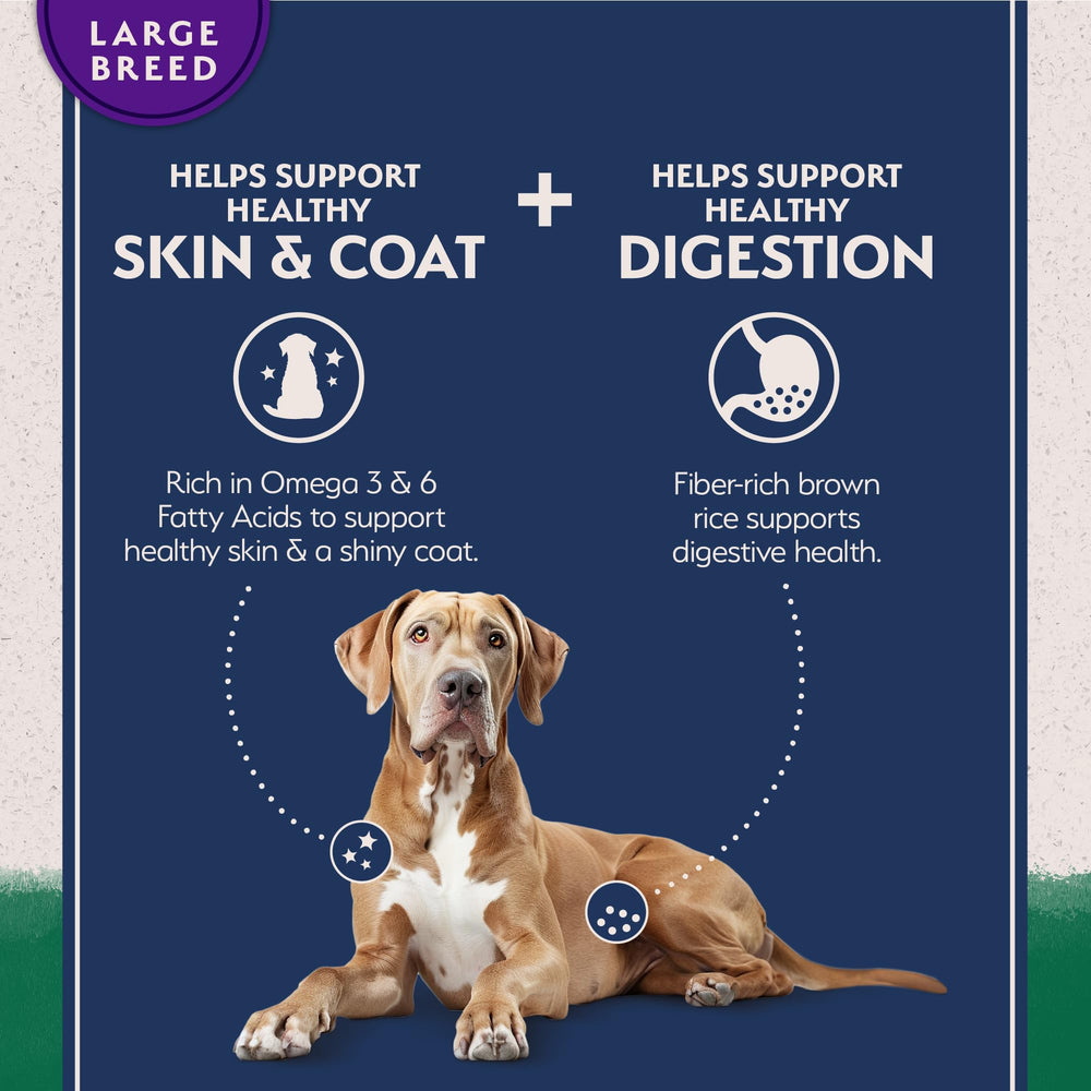 Closeup of Large Breed kibble size from Natural Balance dry dog food