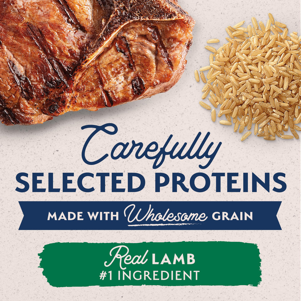 Close-up of Natural Balance LID lamb and brown rice can.