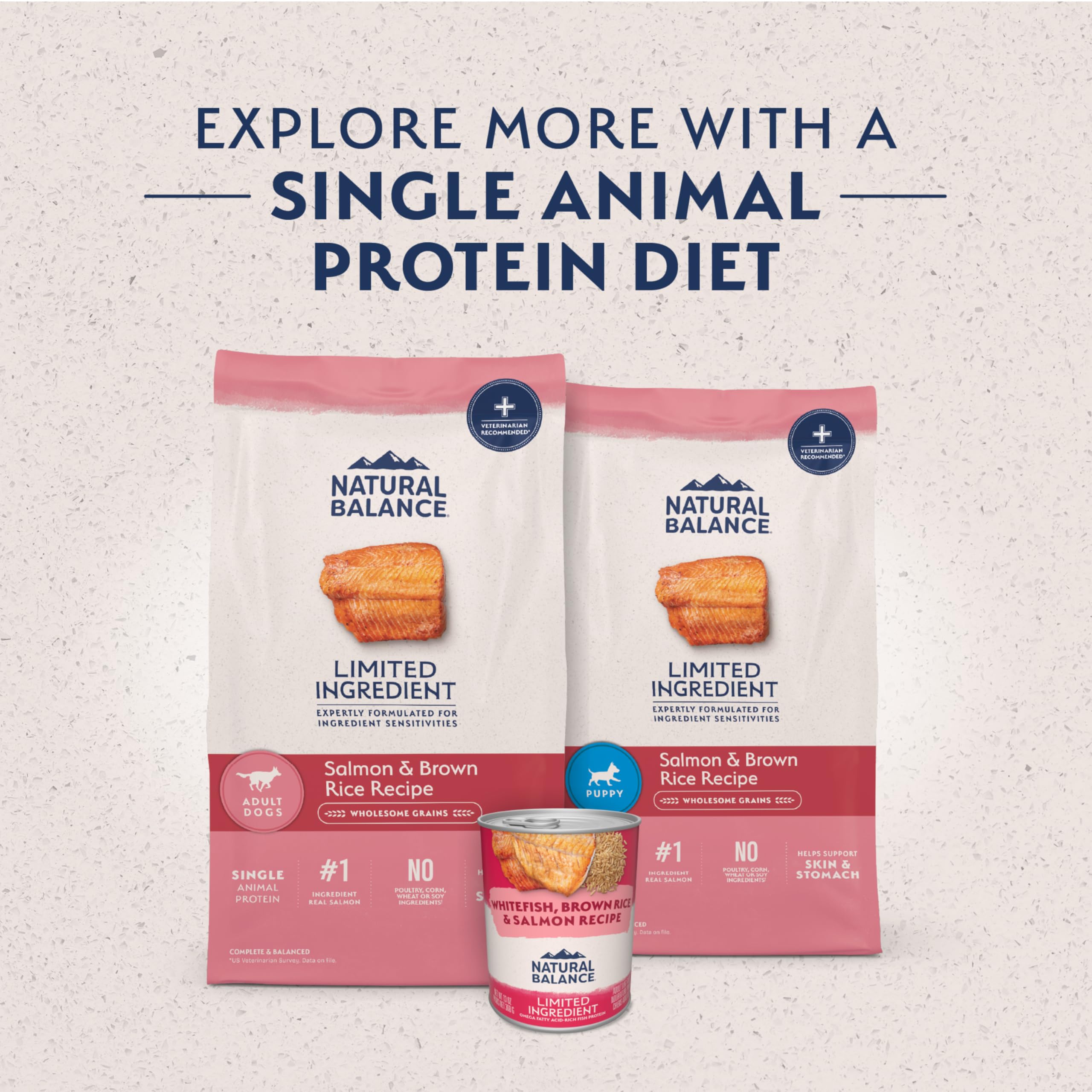 Natural Balance L.I.D. dog eating calmly with kibble in a bowl