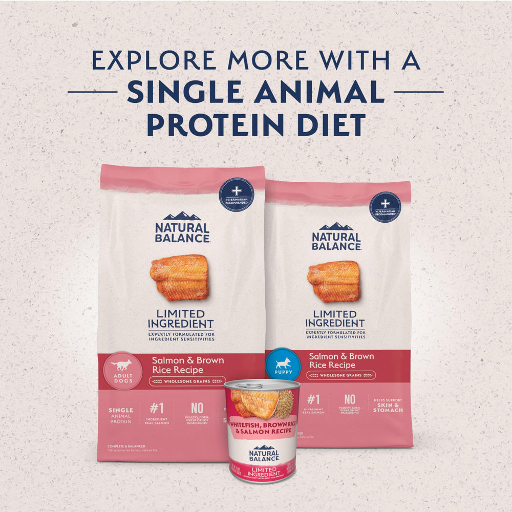 Natural Balance L.I.D. dog eating calmly with kibble in a bowl