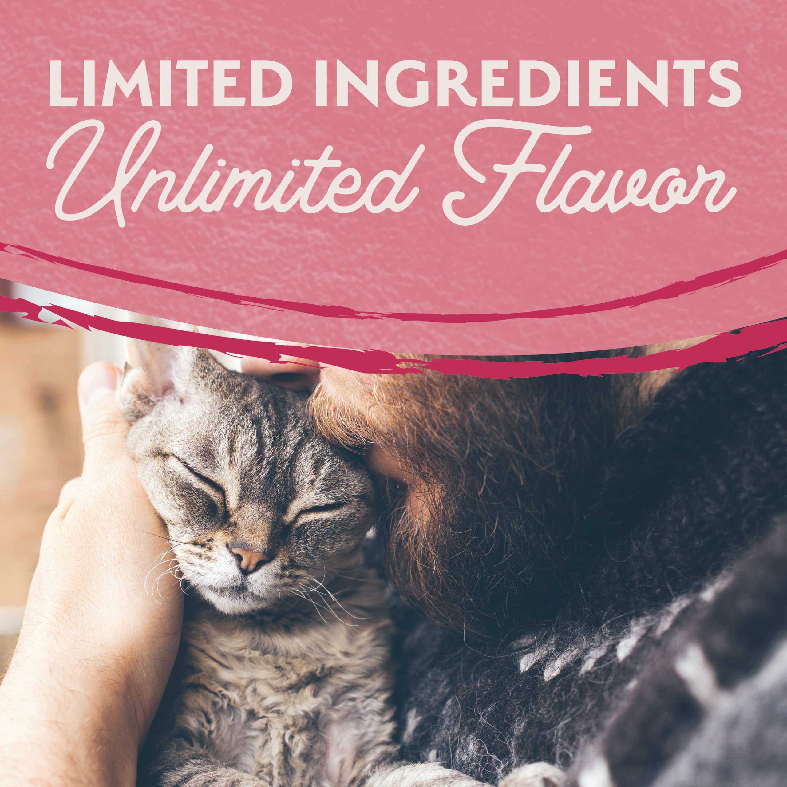 Close-up of salmon chunks from Natural Balance, a high-protein option for adult cats.