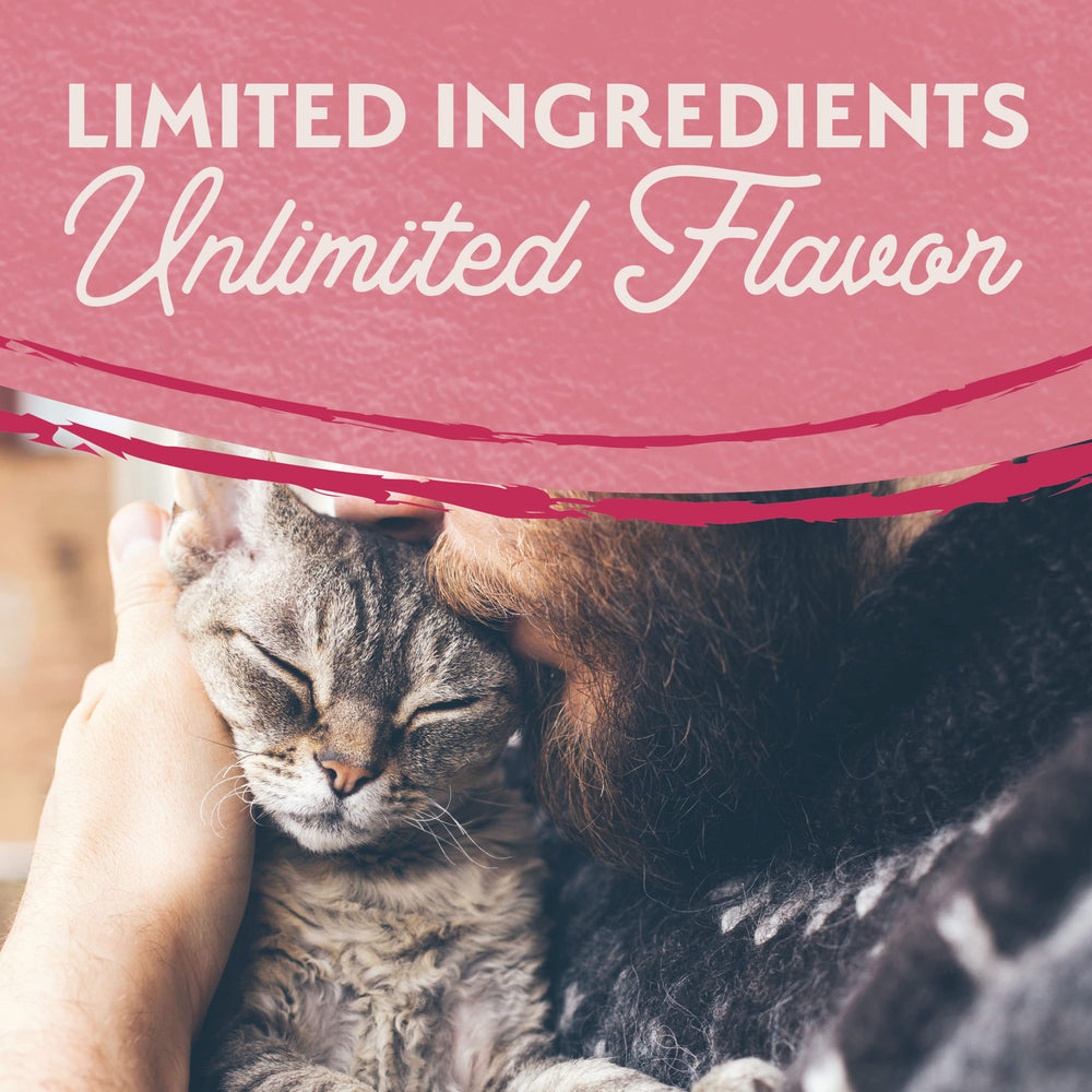 Close-up of salmon chunks from Natural Balance, a high-protein option for adult cats.