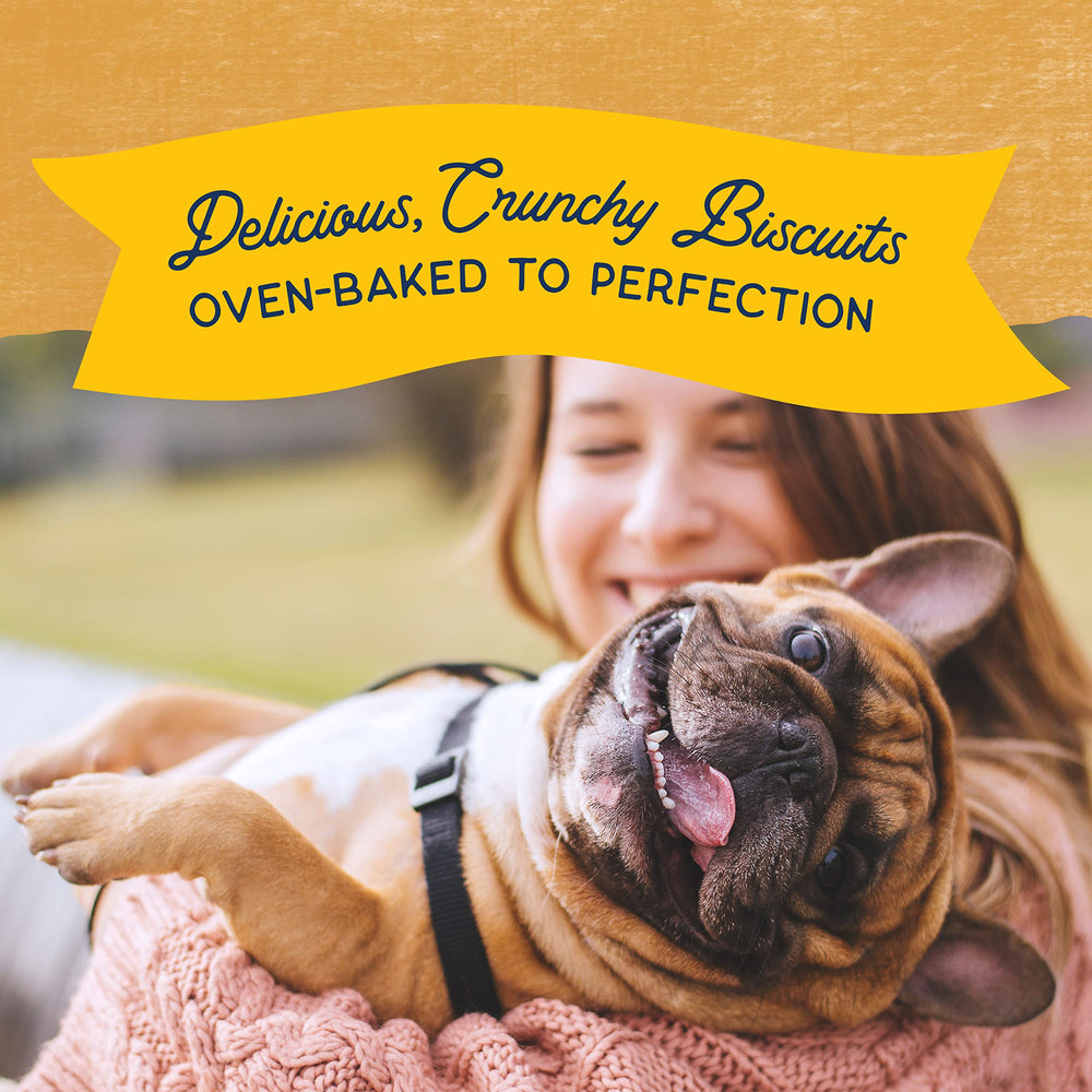 Natural Balance limited-ingredient treats label highlighting single protein source for sensitive stomachs