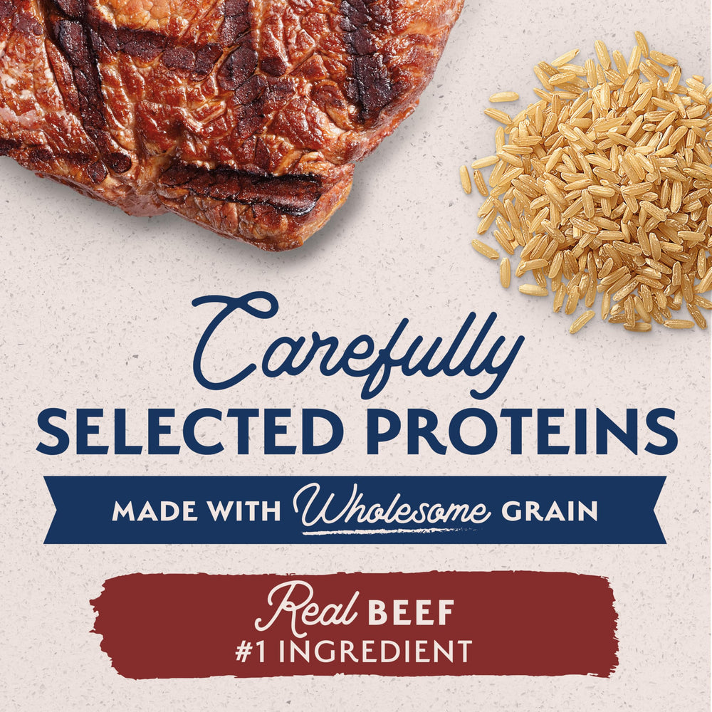 Beef chunks close-up from Natural Balance Limited Ingredient, premium protein for everyday meals.