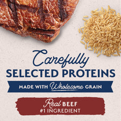 Beef chunks close-up from Natural Balance Limited Ingredient, premium protein for everyday meals.