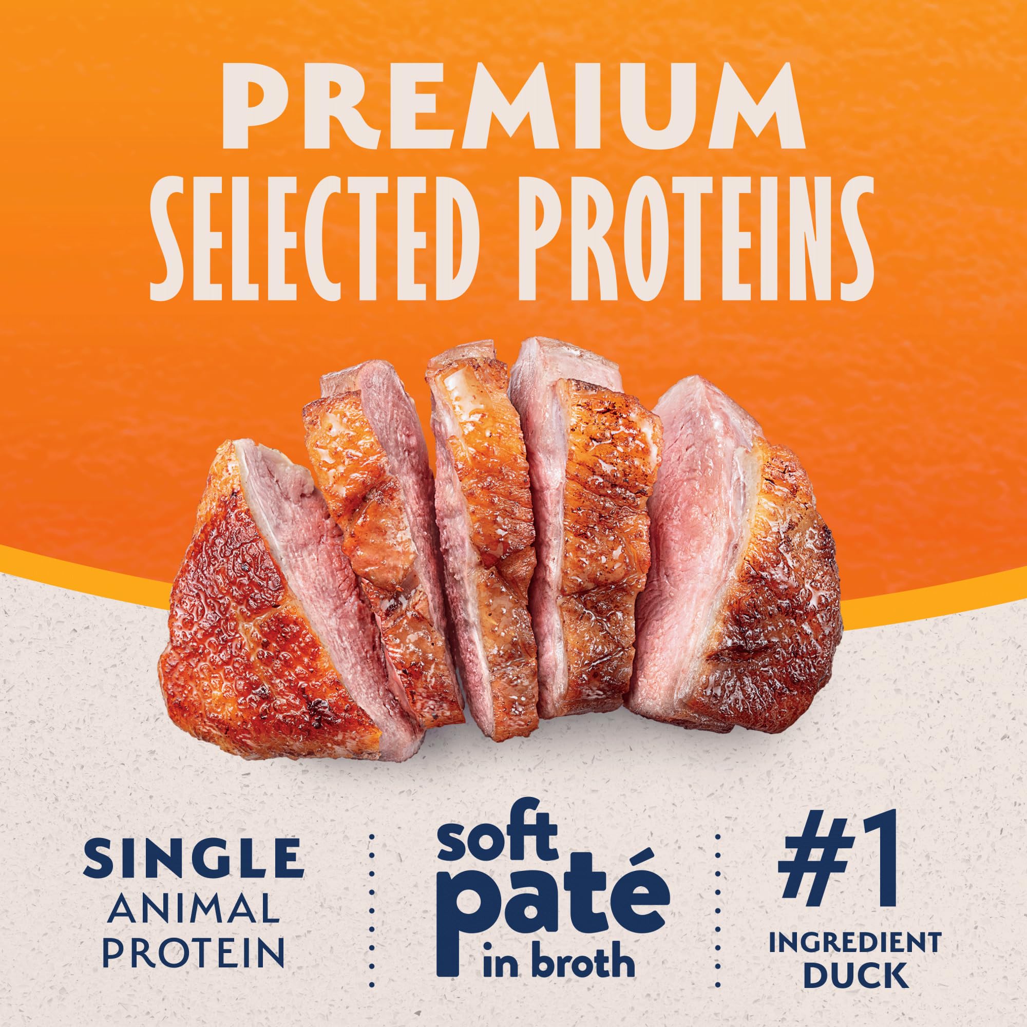 Natural Balance no grains gluten and artificial additives claim on label