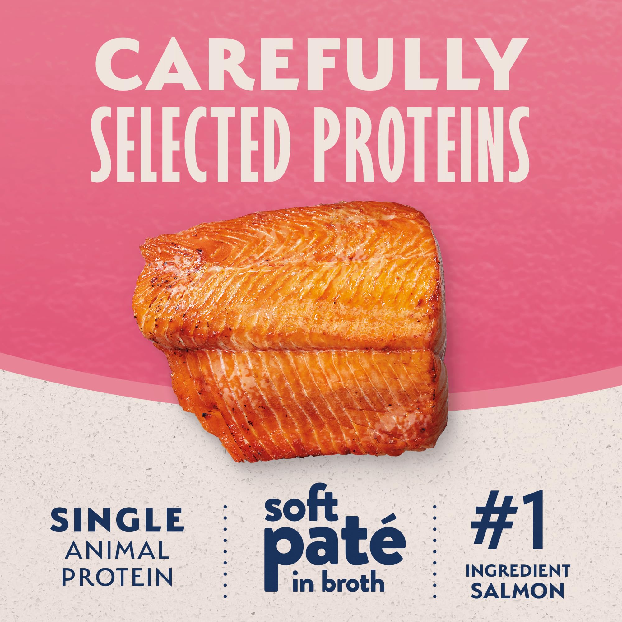 Natural Balance limited-ingredient recipe uses salmon and sweet potato