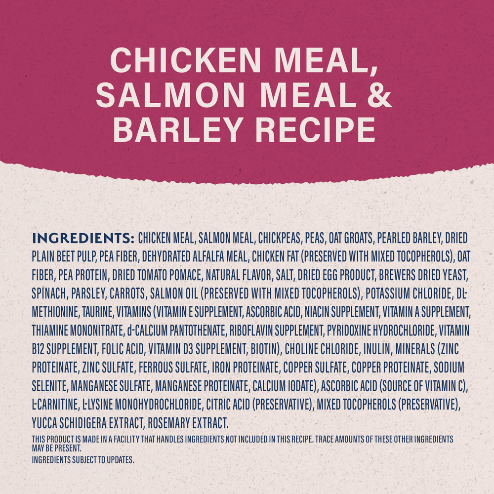 Natural Balance Original Fat Dogs kibble close-up highlighting chicken and salmon meal richness