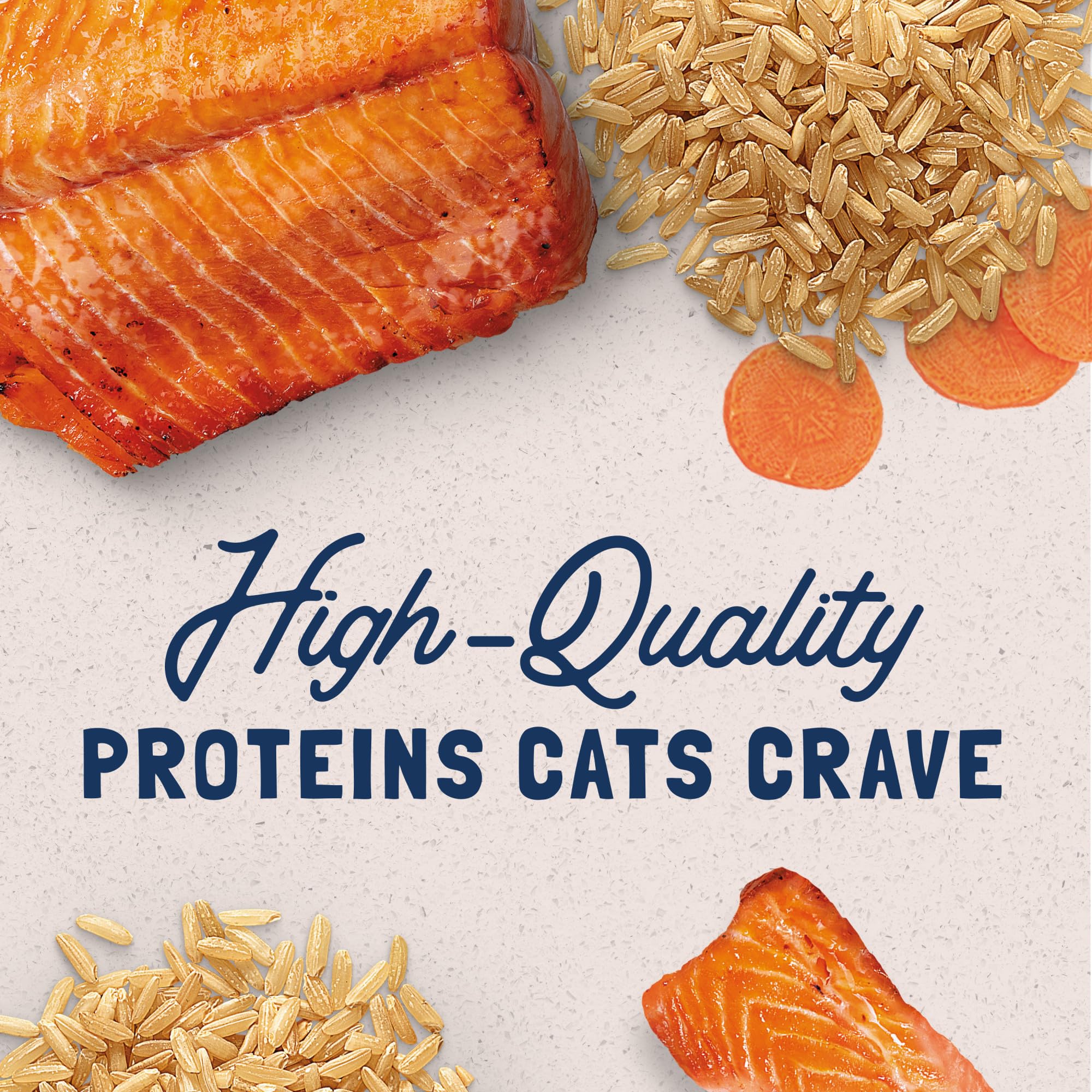 Natural Balance Original Ultra cat salmon with dried egg and carrot ingredients.