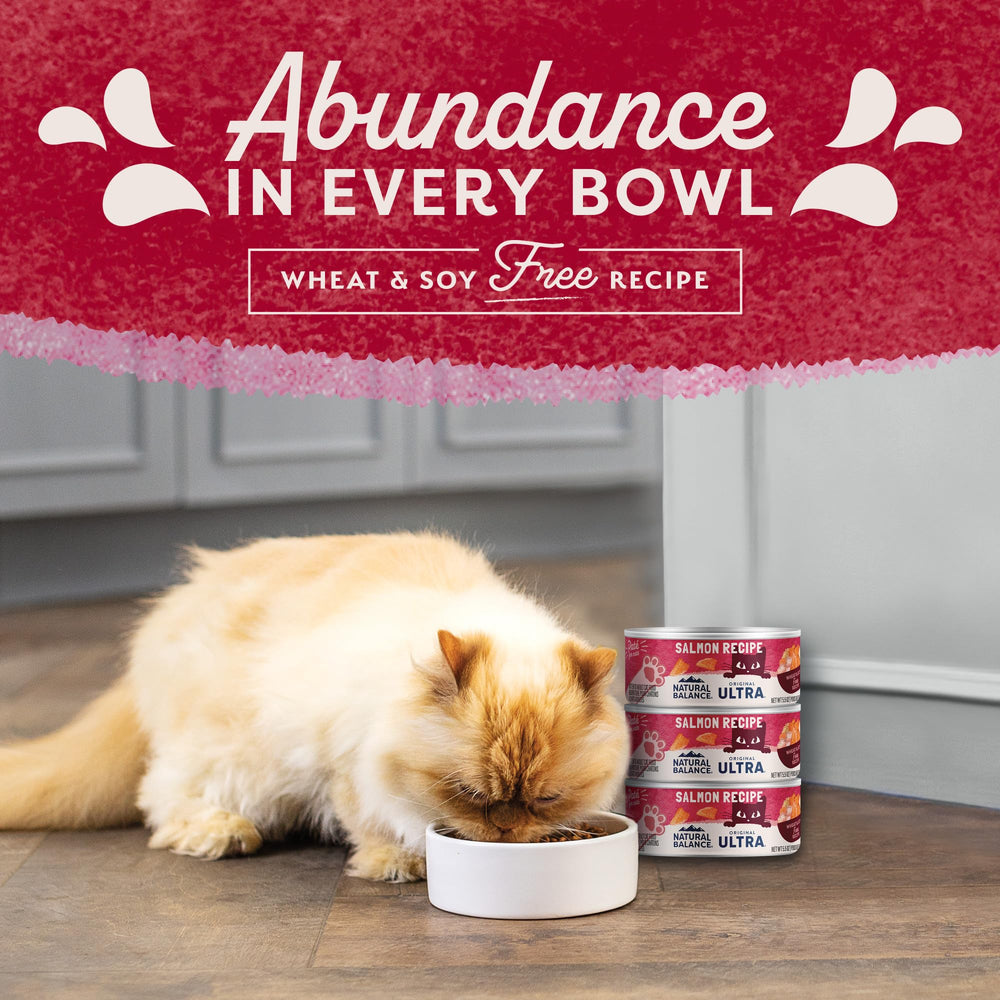 Natural Balance Original Ultra Salmon Pate close-up reveals rich texture.