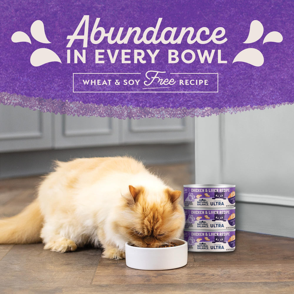 Natural Balance Original Ultra pate texture supports easy chewing and acceptance.