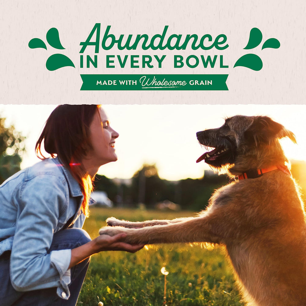 Natural Balance Original Ultra Lamb First Ingredient emphasizes protein-rich nourishment.