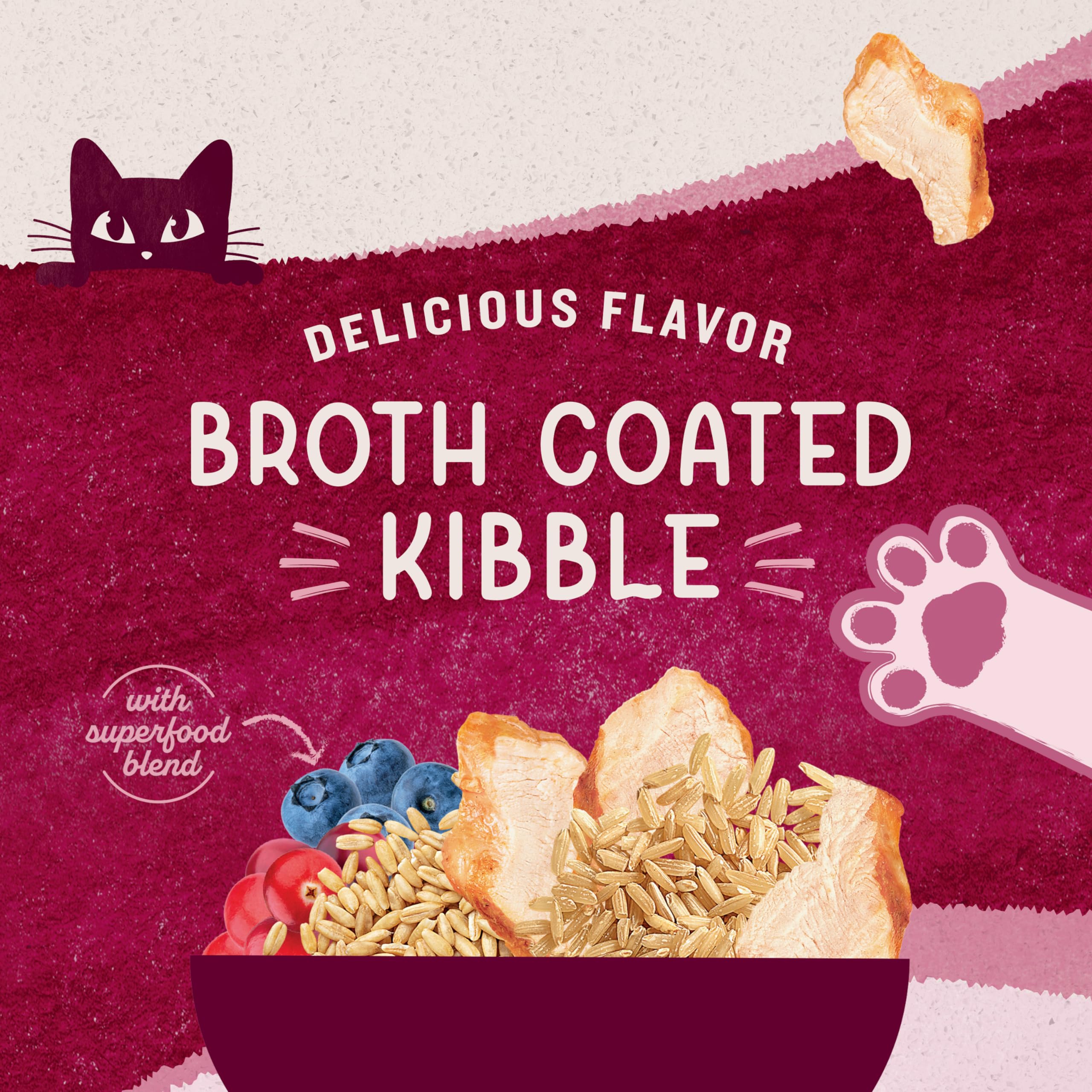 15-pound bag of Natural Balance Original Ultra Dry Cat Food on kitchen counter.