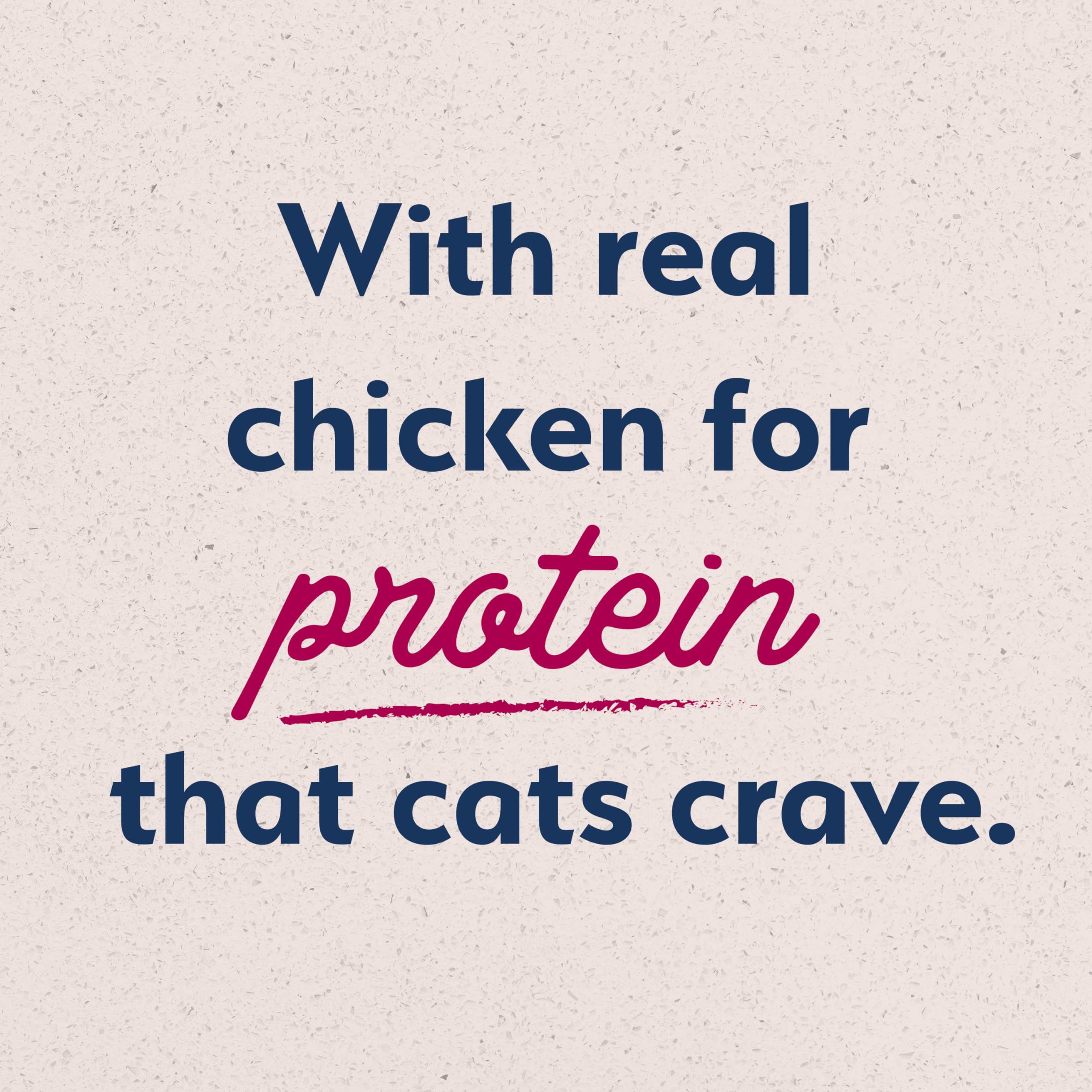 Natural Balance Original Ultra Dry Cat Food for kittens to adults