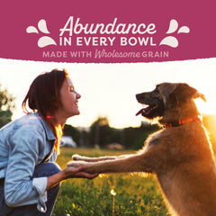 Natural Balance Ultra Fat dogs in bowl, fiber blend supports digestion and fullness.