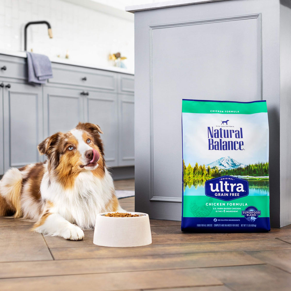 Natural Balance 24 lb bag offers complete nutrition for daily meals.