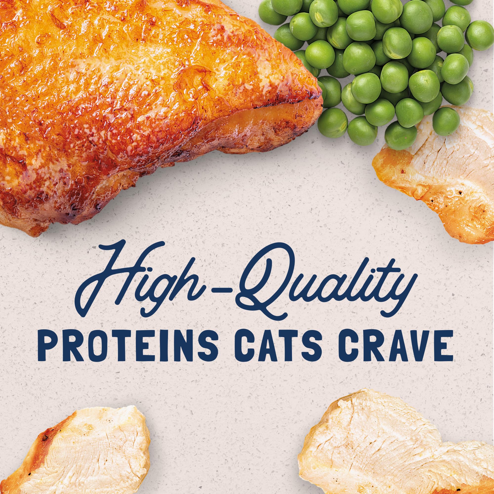 Natural Balance Original wet cat food grain-free label close-up highlighting grain-free formula