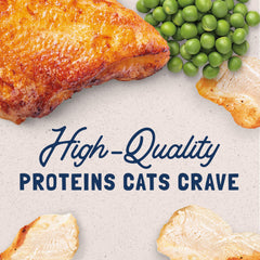 Natural Balance Original wet cat food grain-free label close-up highlighting grain-free formula