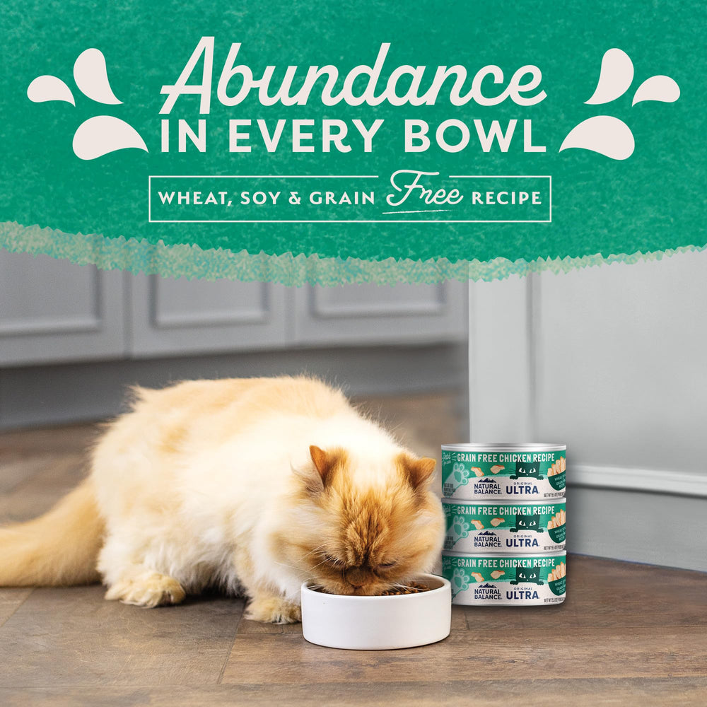 Natural Balance Original wet cat food kitchen scene for everyday feeding