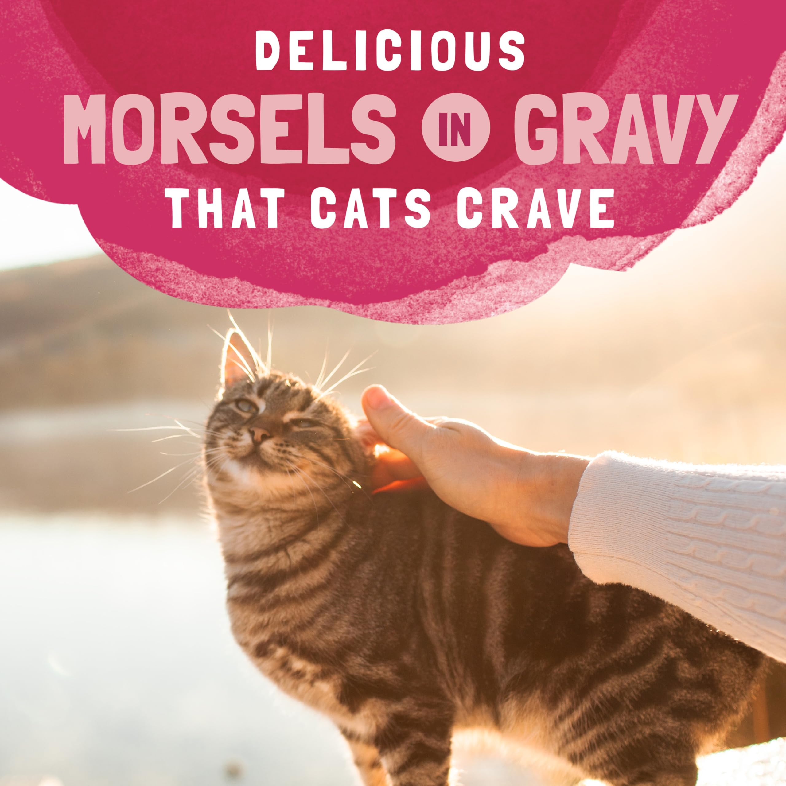 Natural Balance packaging-pouch shot showcases single-serve portion for cats.