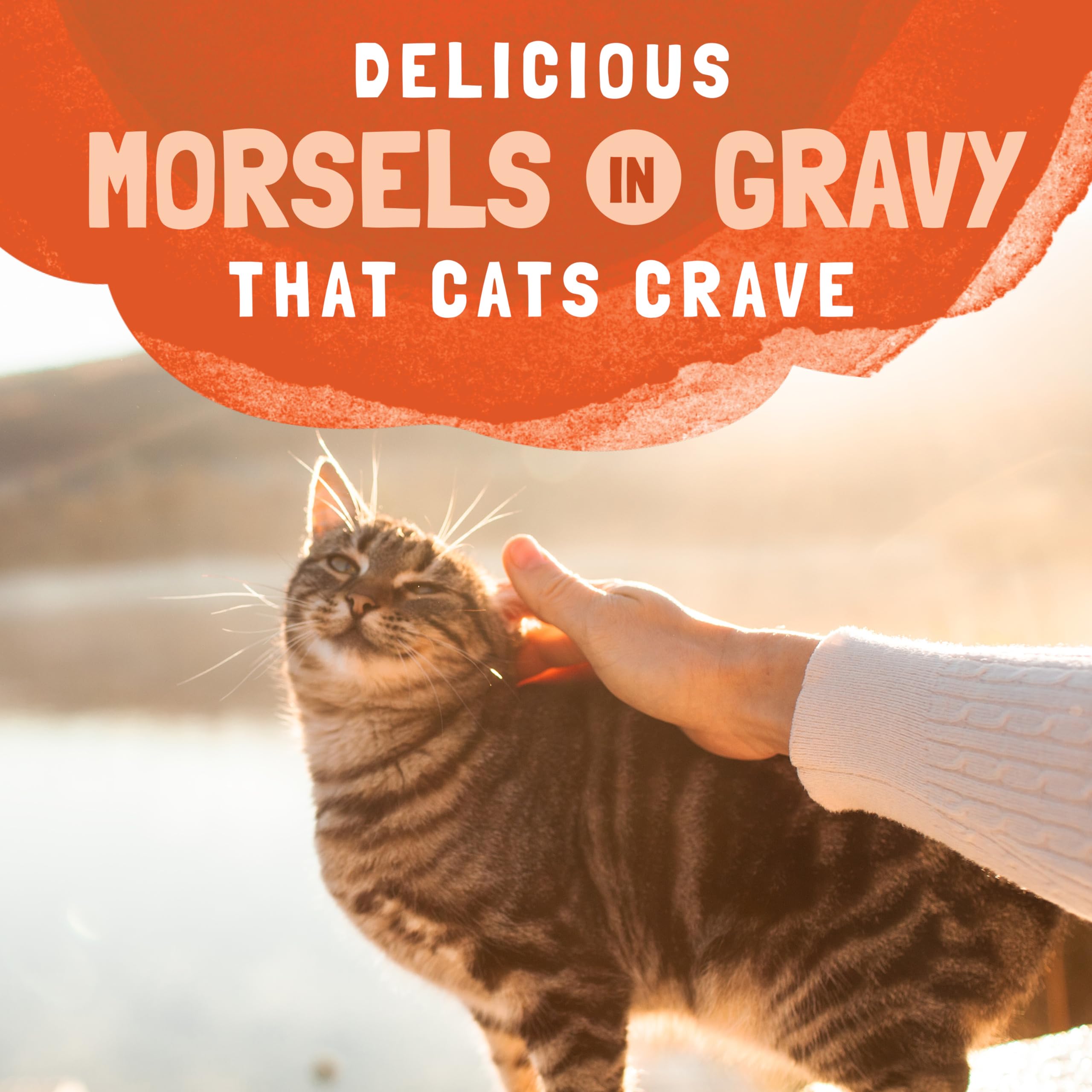 Natural Balance Platefulls all-breed suitable, flavorful meal for adult cats