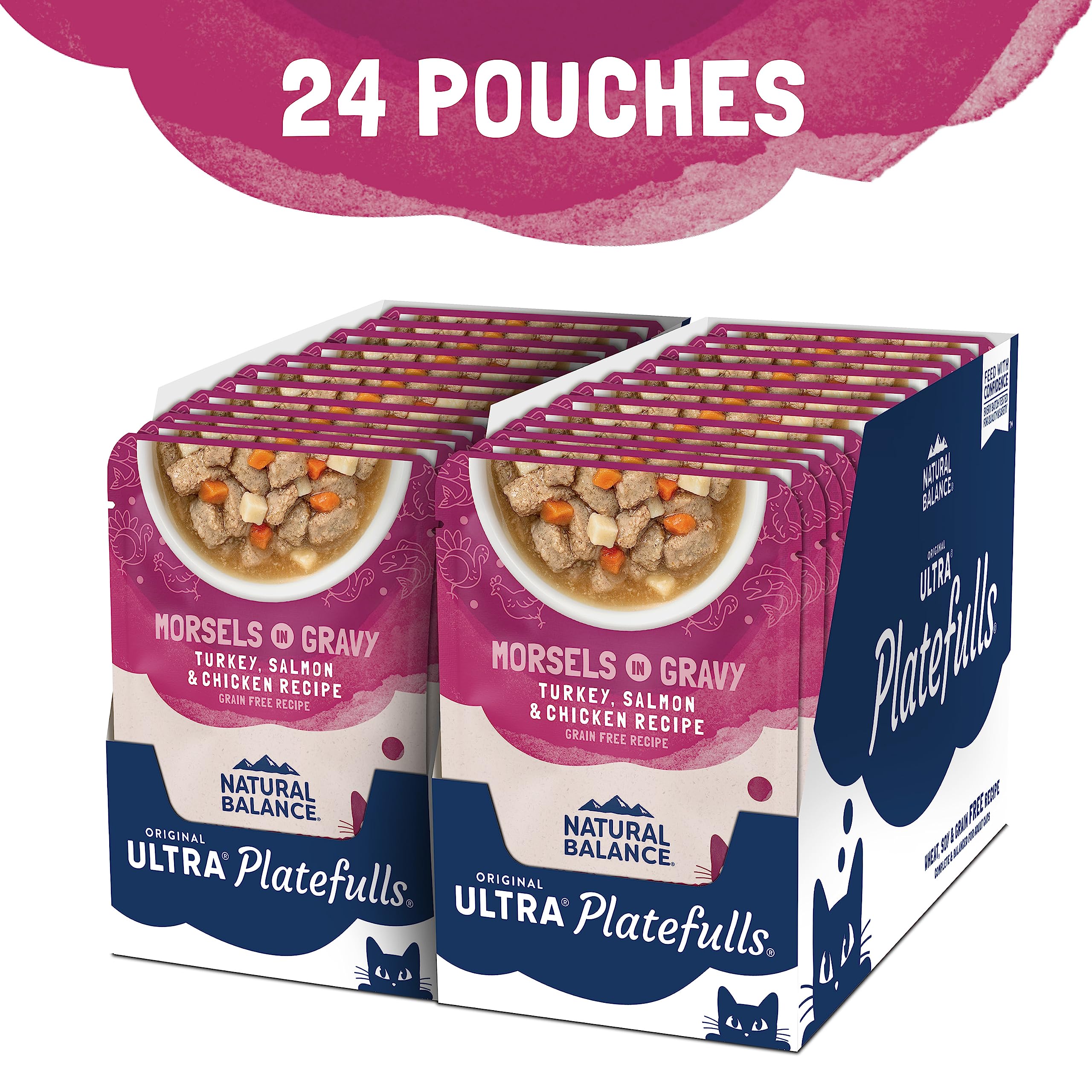 Platefulls Indoor gravy texture highlights savory sauce and meat blend for appetizing meals.