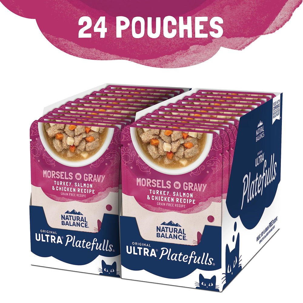 Platefulls Indoor gravy texture highlights savory sauce and meat blend for appetizing meals.