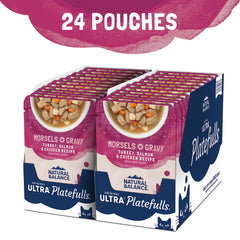 Platefulls Indoor gravy texture highlights savory sauce and meat blend for appetizing meals.