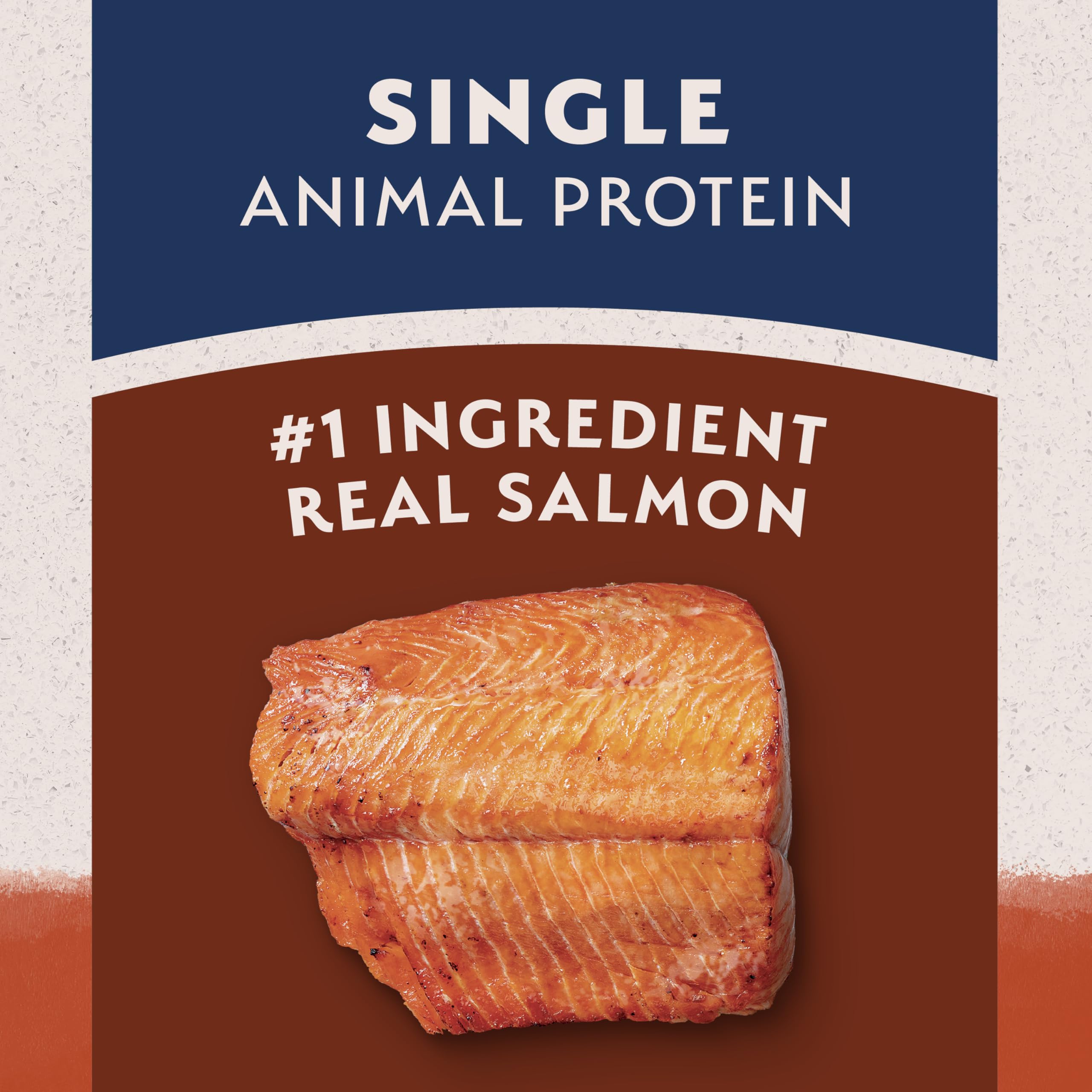 Natural Balance salmon-kibble-closeup reveals small, crunchy morsels for dogs.