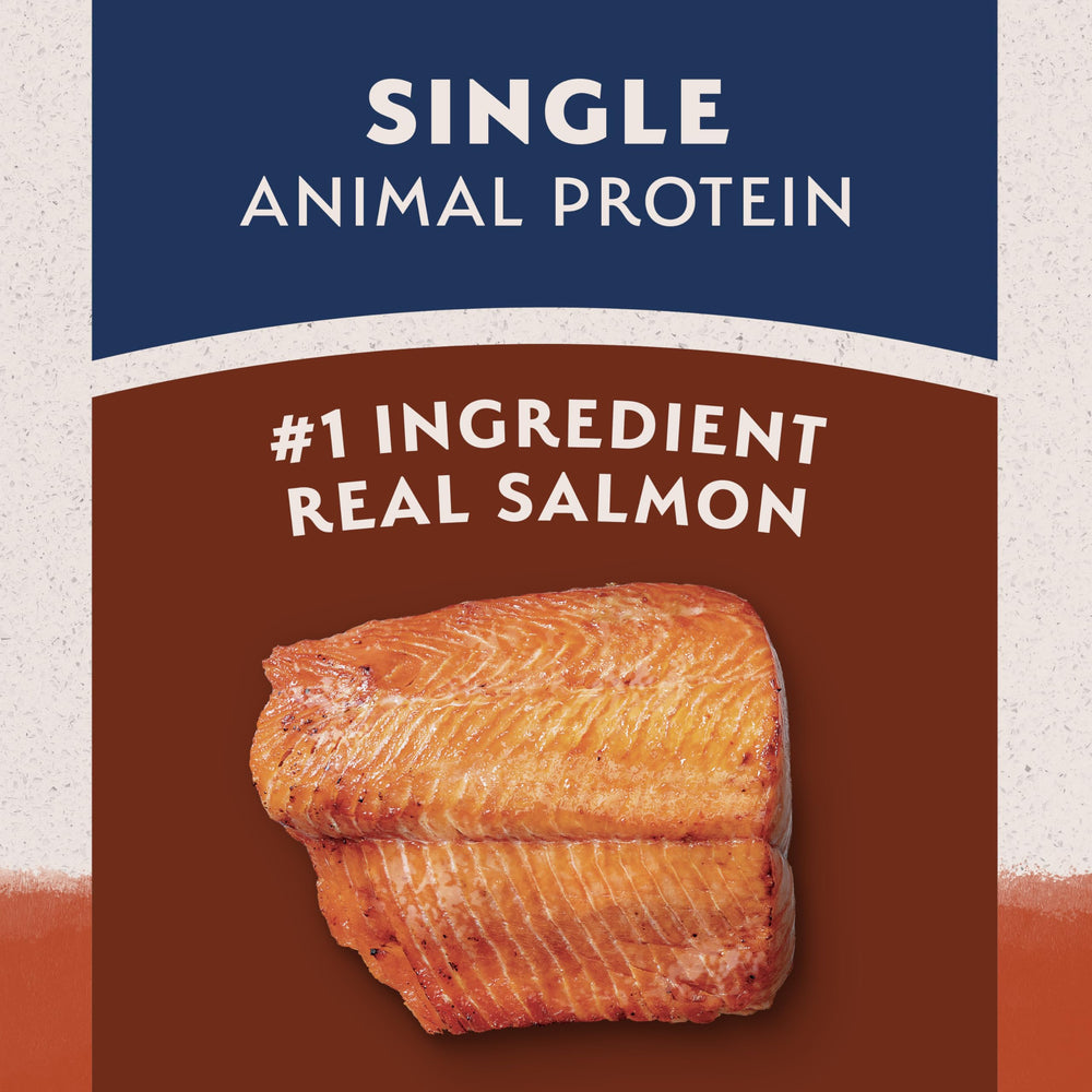 Natural Balance salmon-kibble-closeup reveals small, crunchy morsels for dogs.