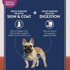 Natural Balance Salmon small-breed kibble close-up highlights single-protein focus for sensitive stomachs
