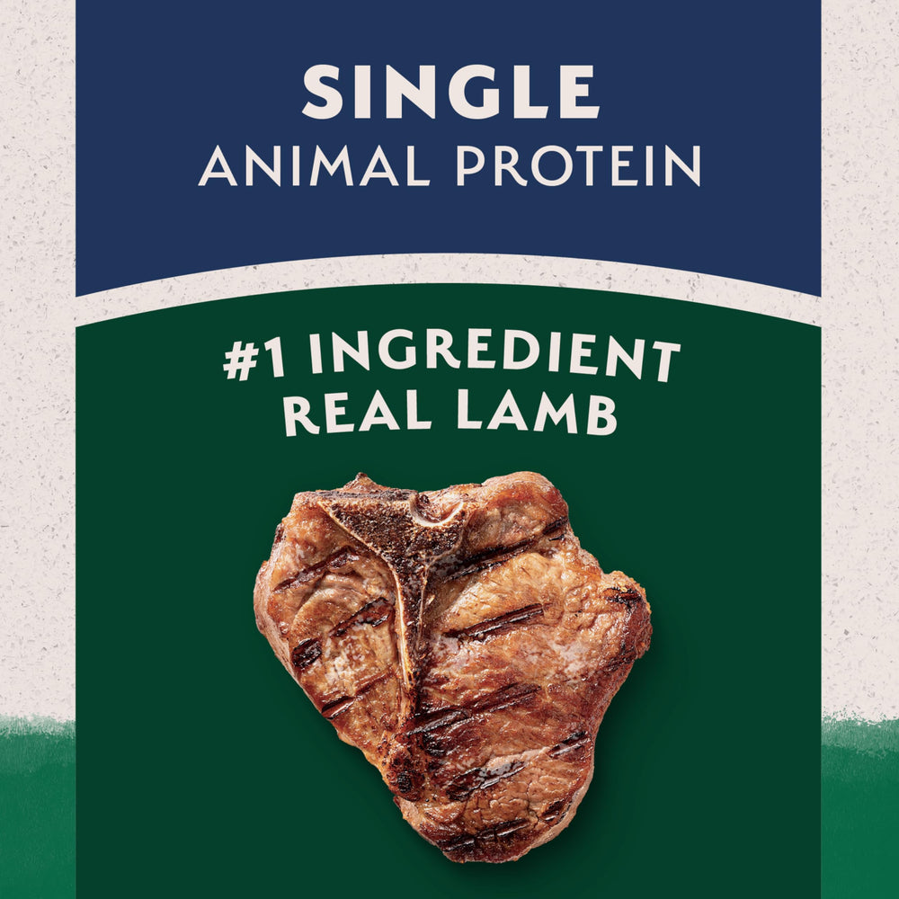 Natural Balance single-protein dog food bag closeup demonstrates simple nutrition for sensitive dogs.